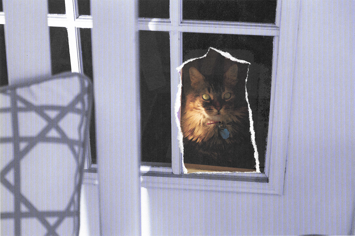 Meow