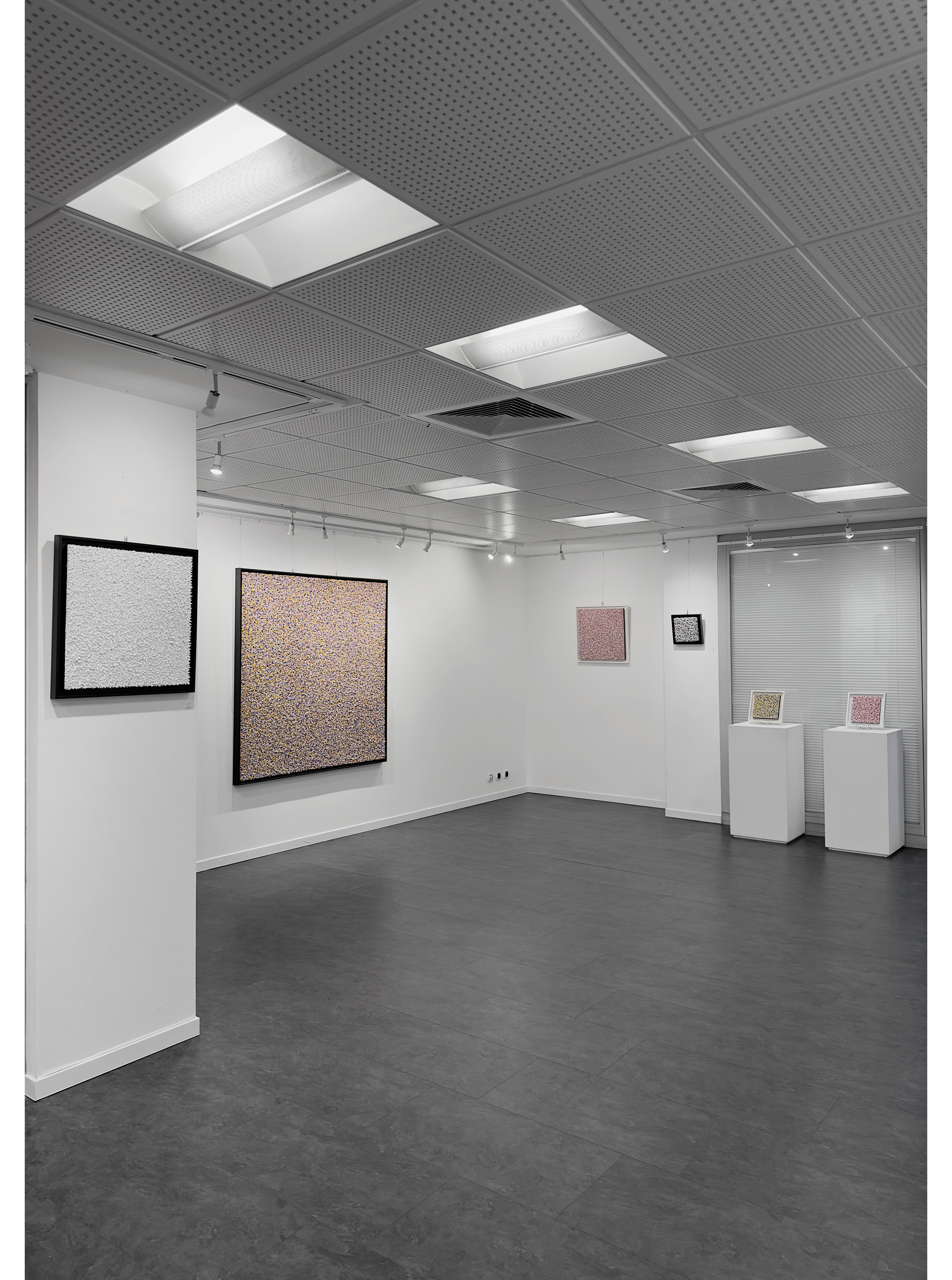 Personal Art Exhibition "THE BLOOM" ,International Art Association by UNESCO,  l'AIAP, Monaco, 2024