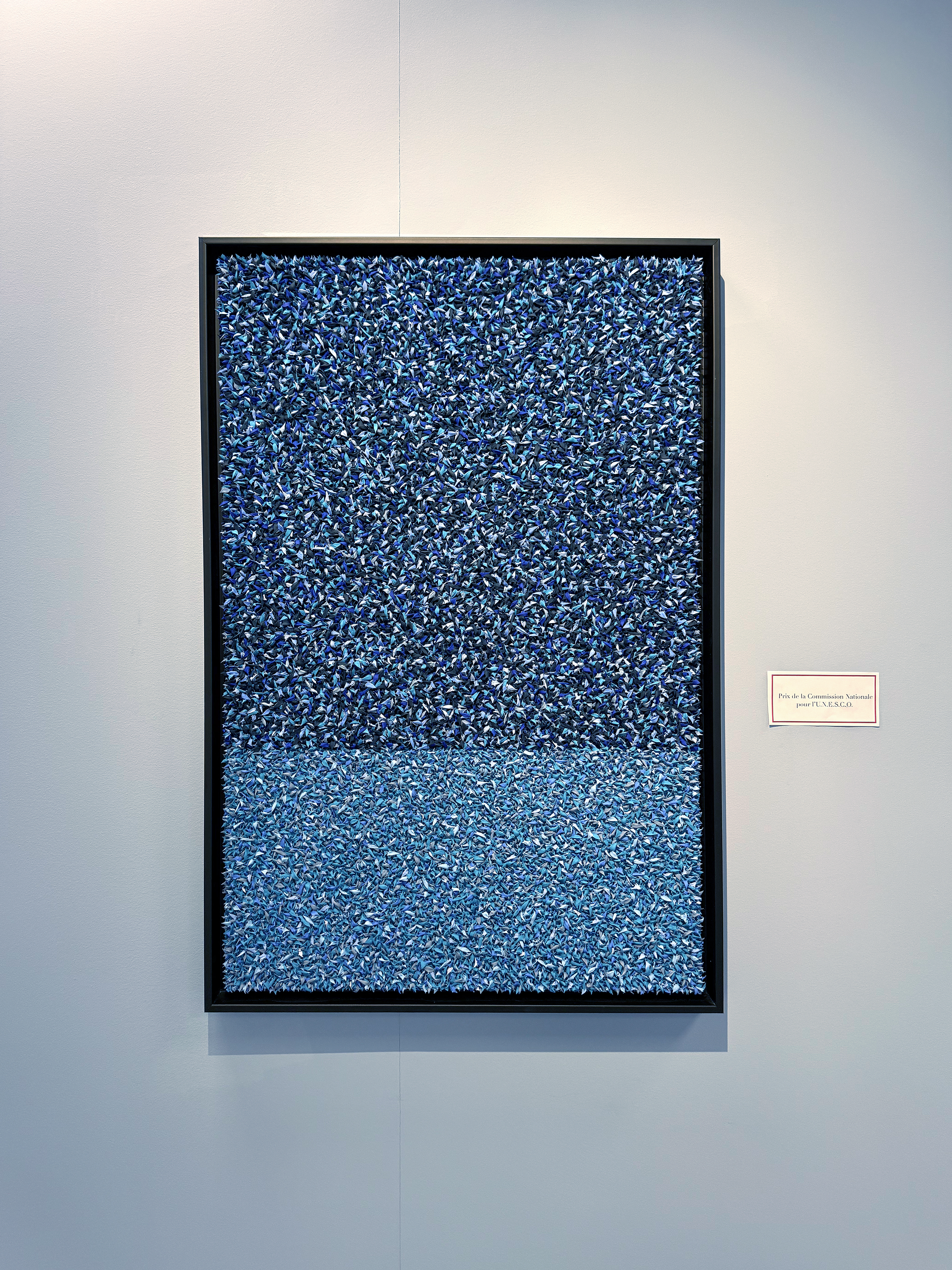 Salon l'AIAP "Monaco à l'ombre du vent", Prix du commission nationale UNESCO Monaco, 2025