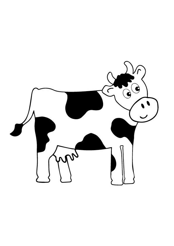 Cow