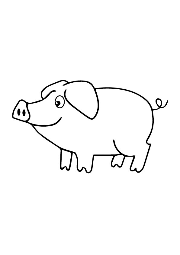Pig