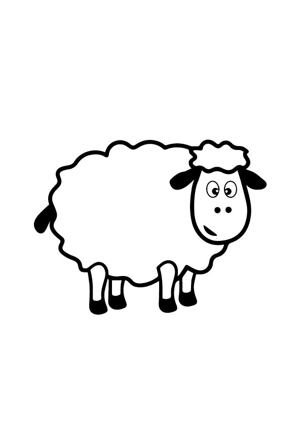 Sheep