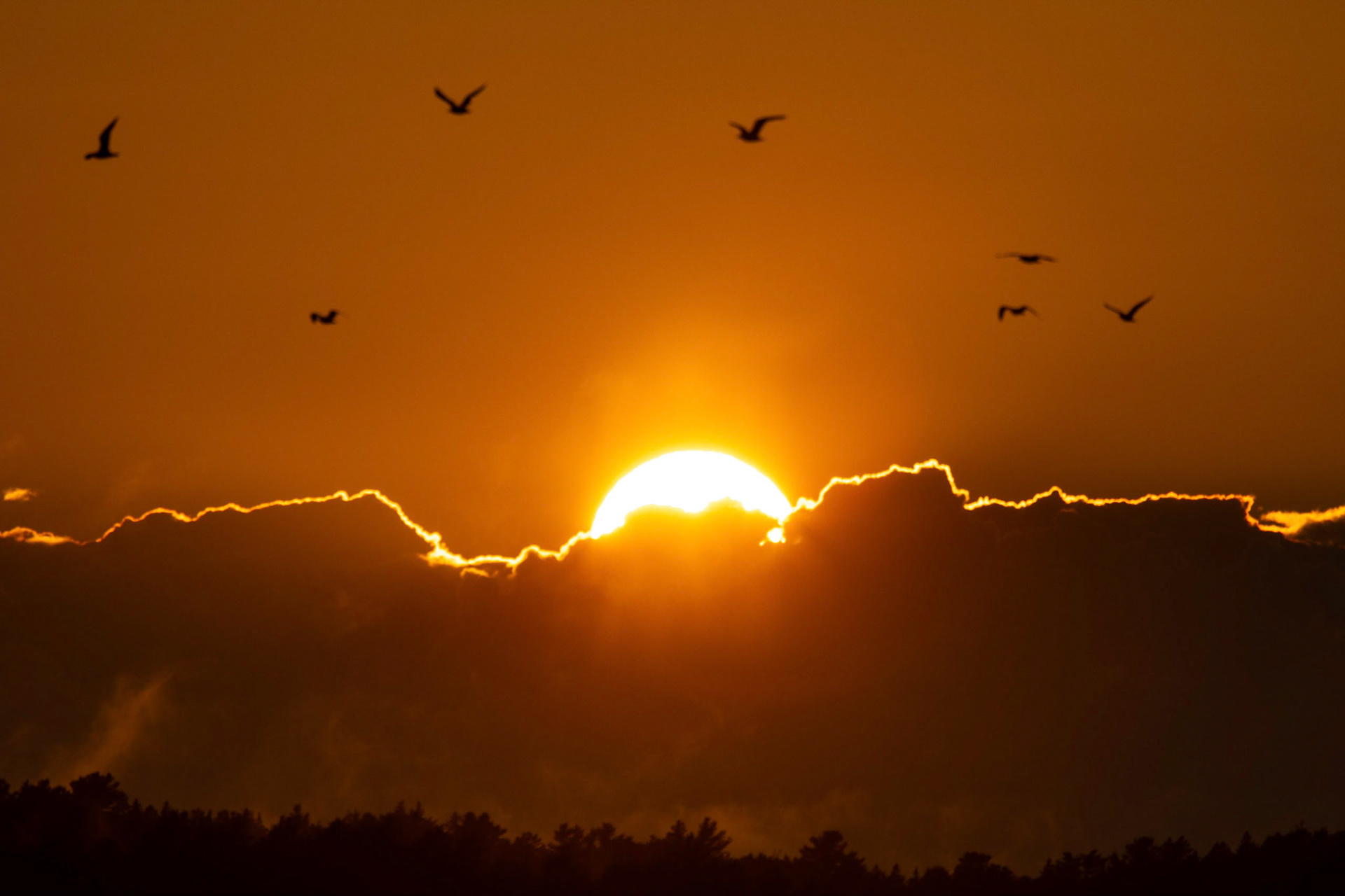 Sunset over Boothbay Harbor in Maine