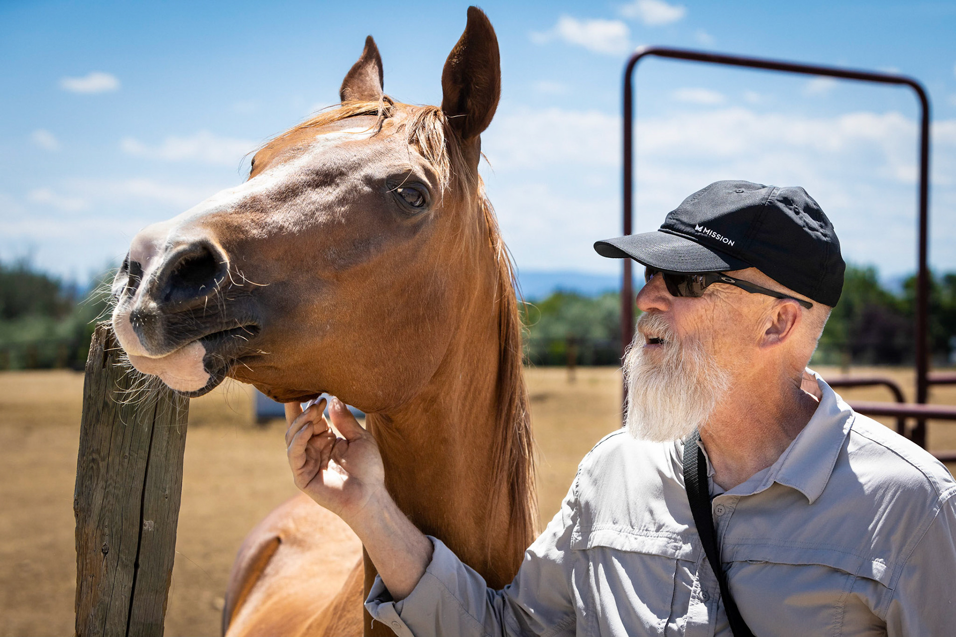 A visit to Colorado Horse Rescue near Longmont