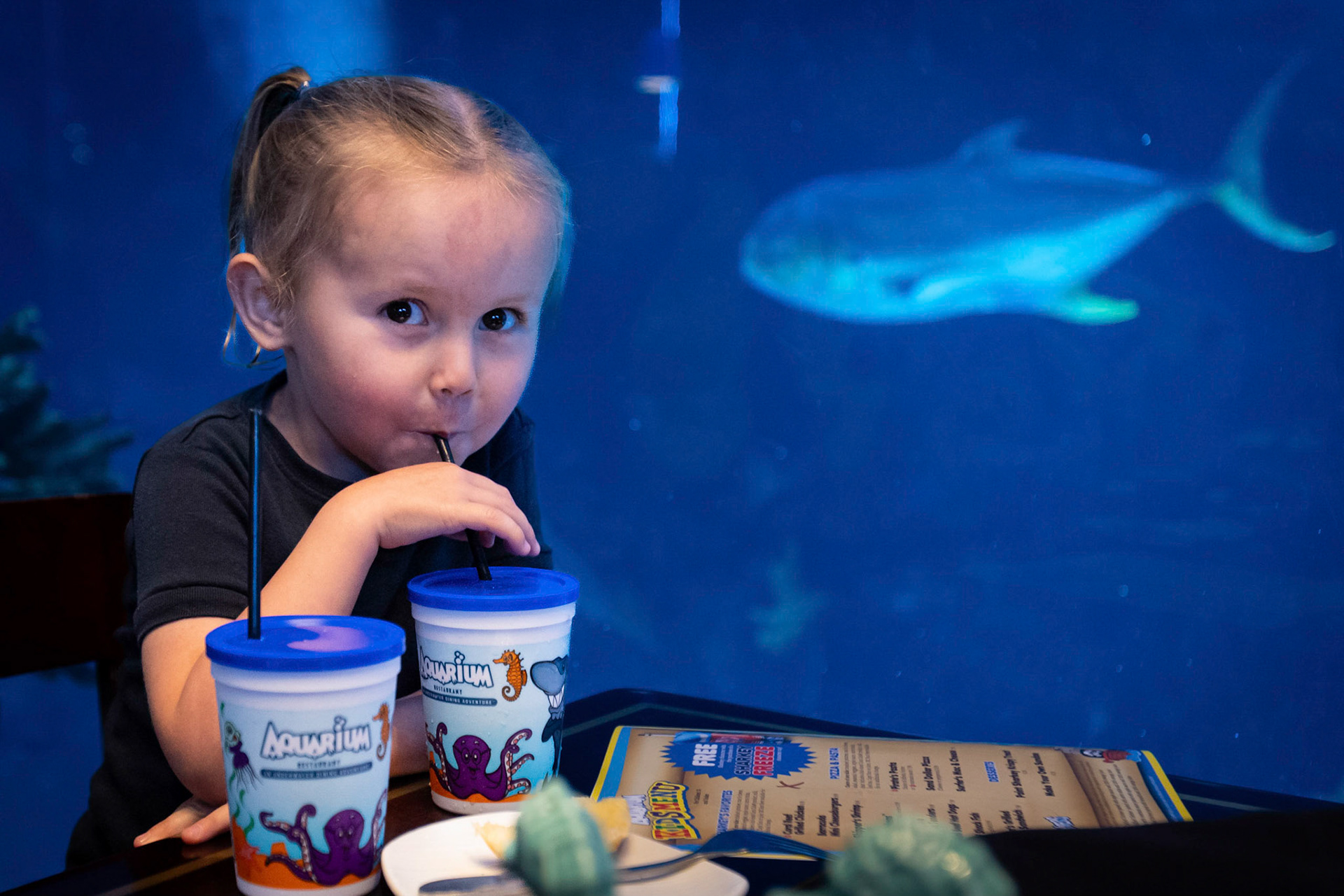 Lunch with the fish at the Downtown Aquarium