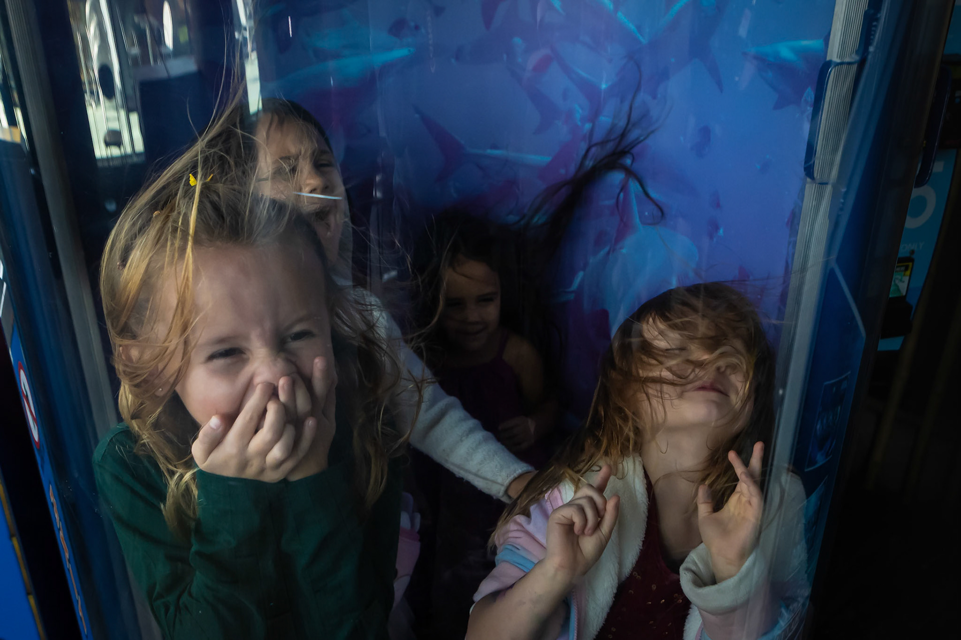 Experiencing the hurricane tunnel at Downtown Aquarium