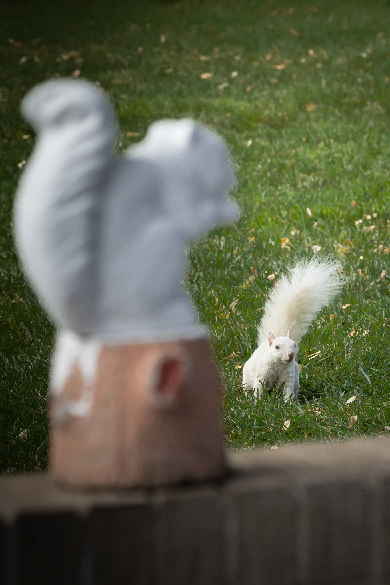 Steve discovers a sculpture displayed in his honor