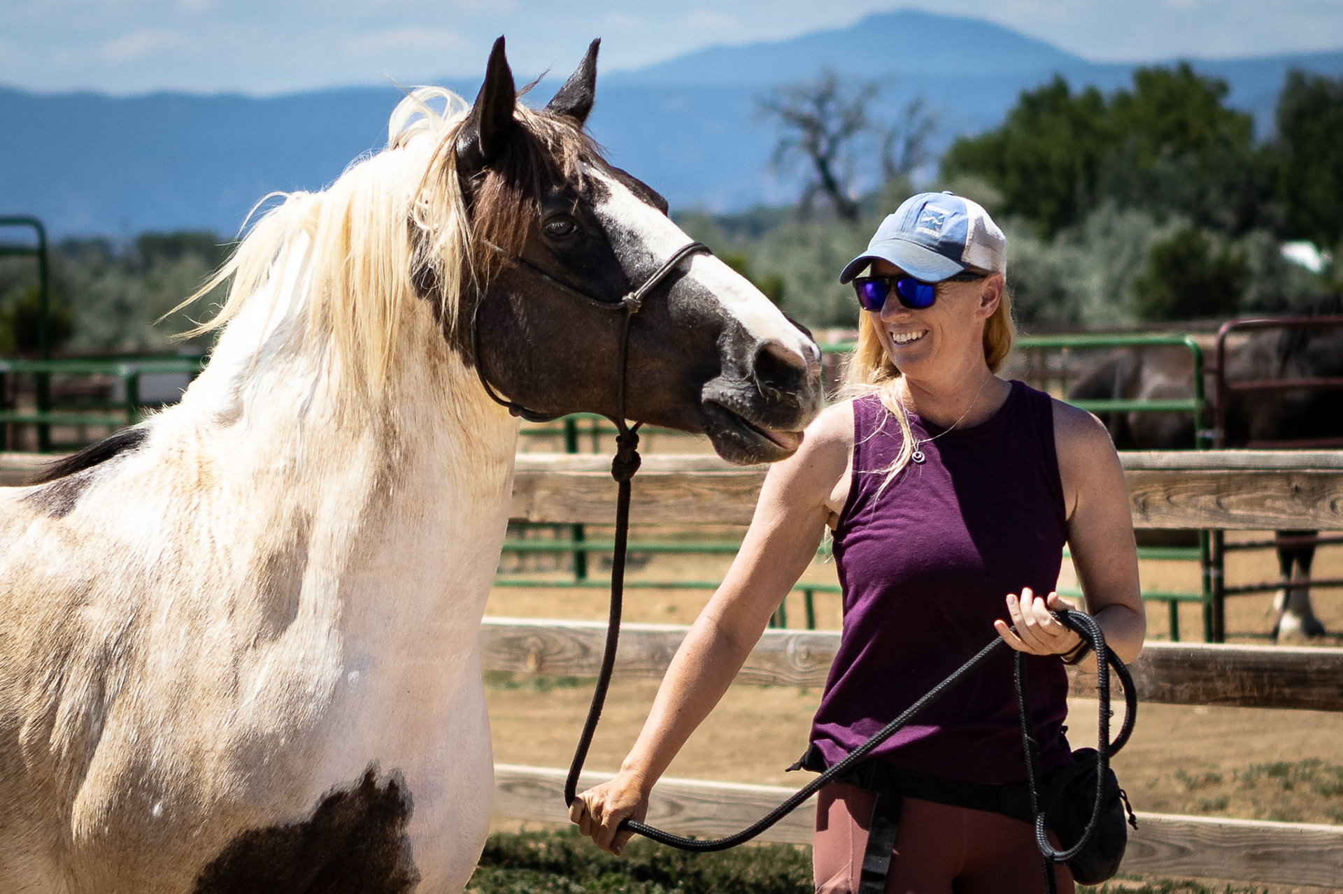 A visit to Colorado Horse Rescue near Longmont