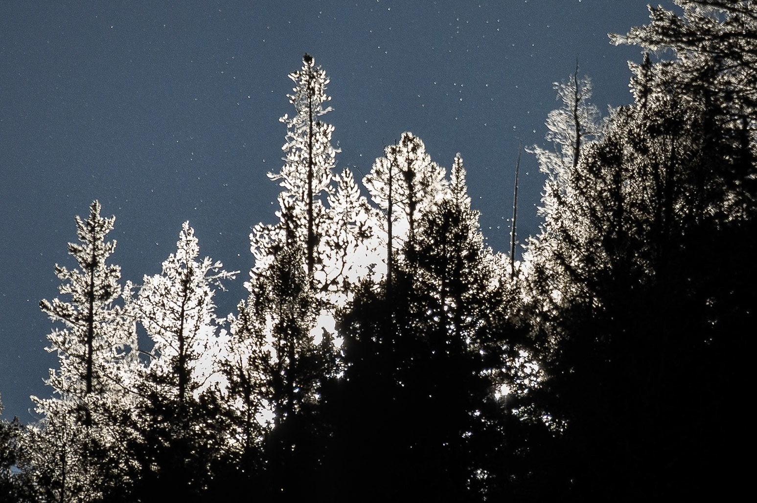 A frosty fall morning in the mountains of Colorado