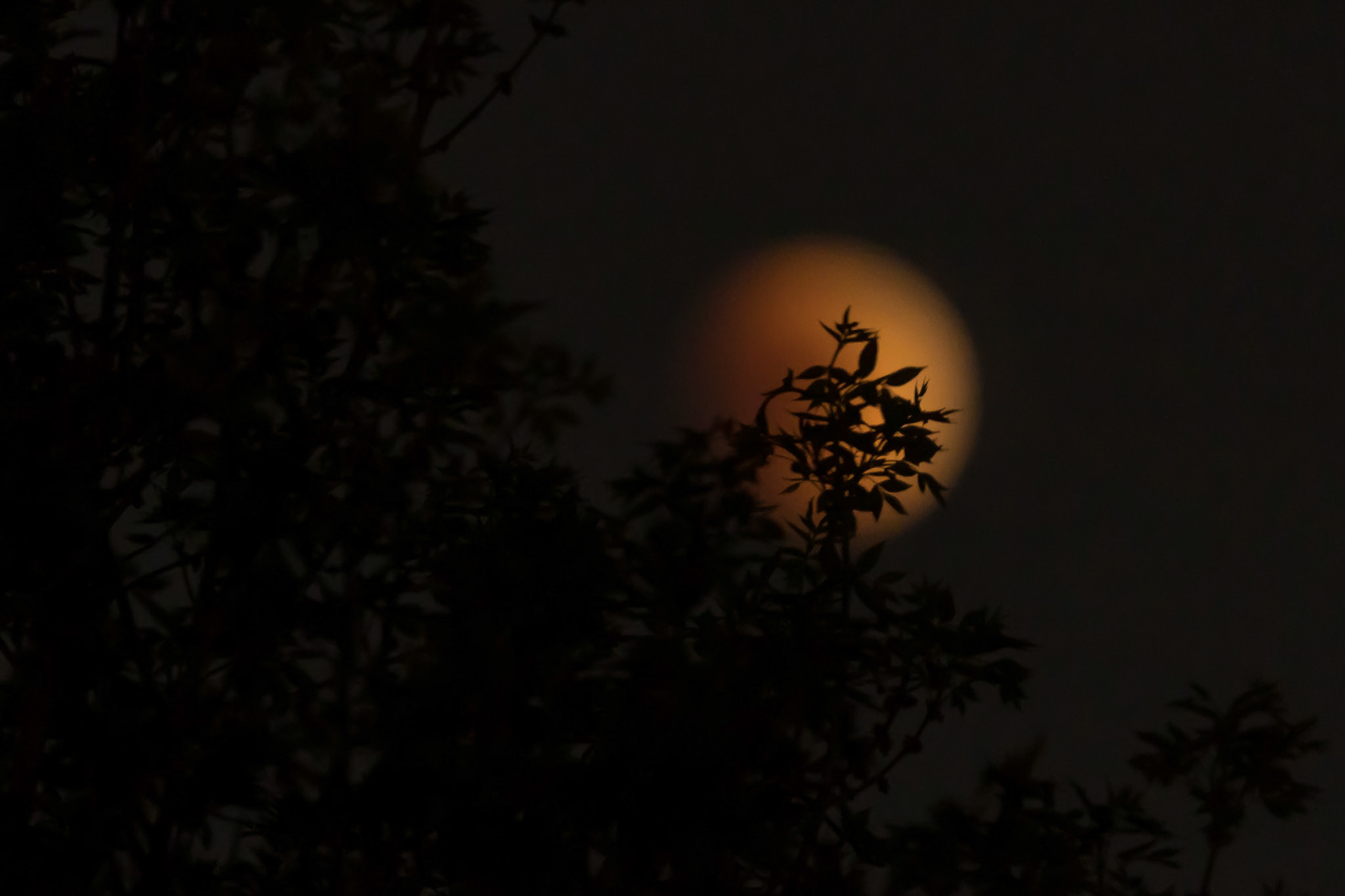 Total lunar eclipse, May 15, 2022