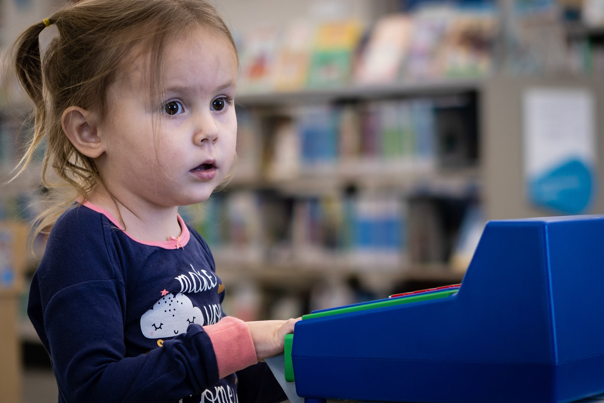 A day at the library