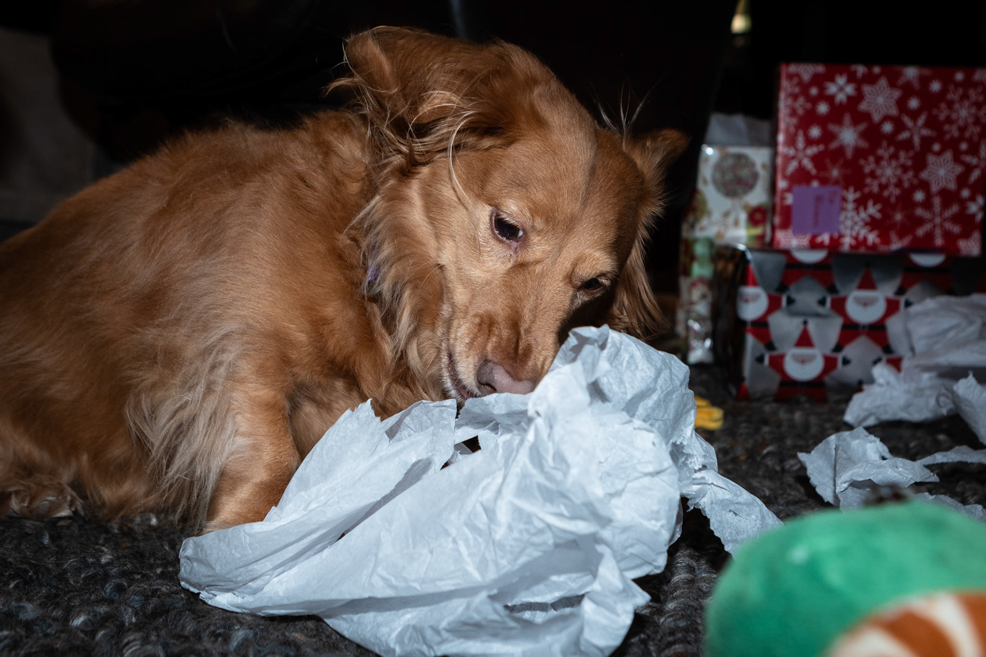 Opening Christmas presents