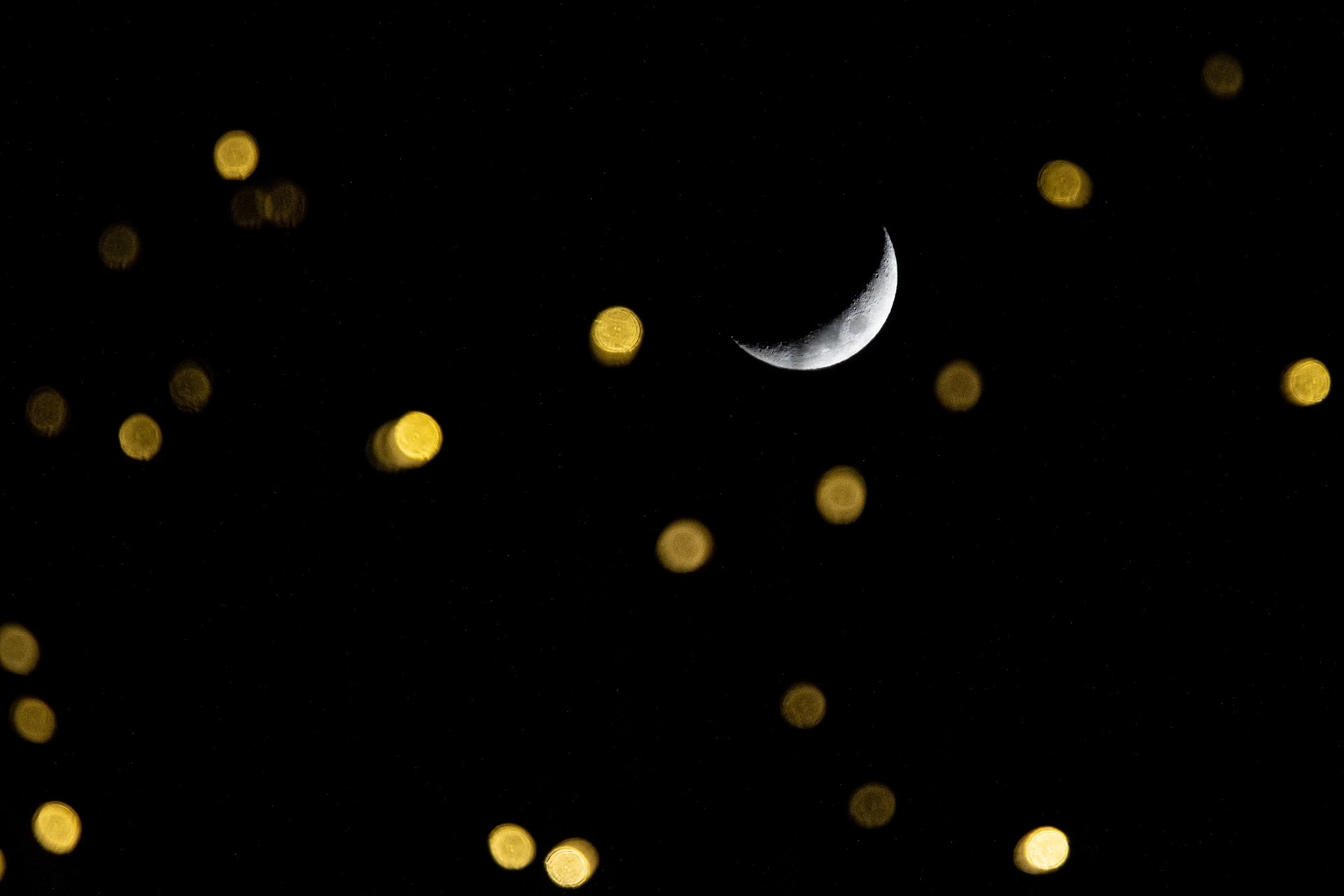 A holiday Moon