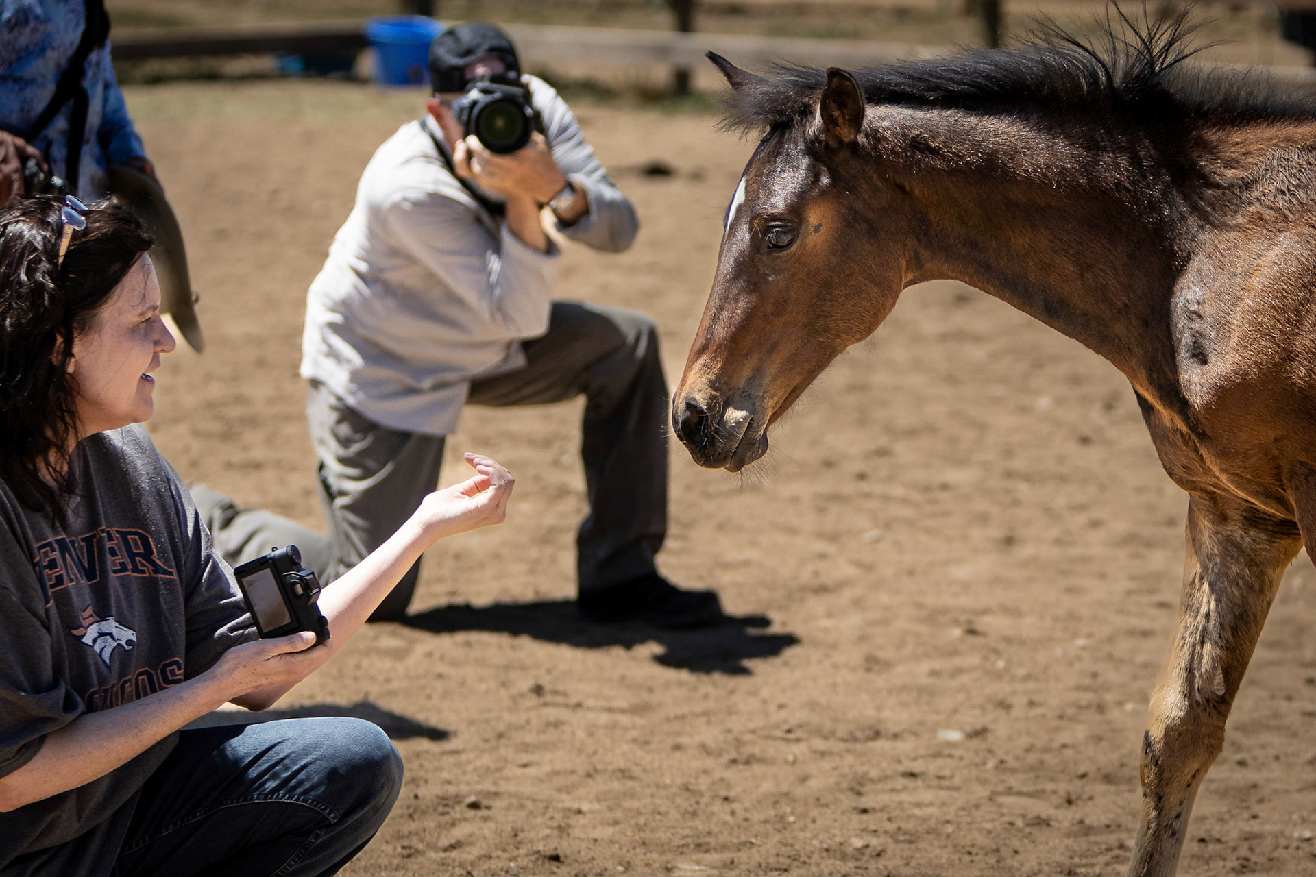 A visit to Colorado Horse Rescue near Longmont