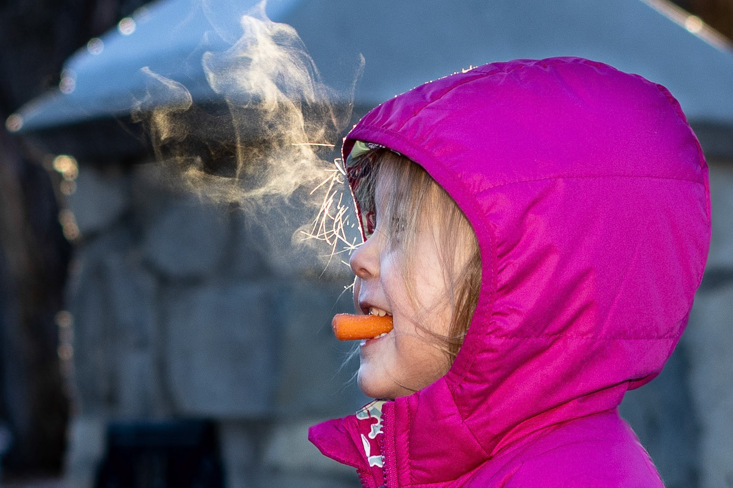Snacking on carrots while enjoying a brisk morning walk