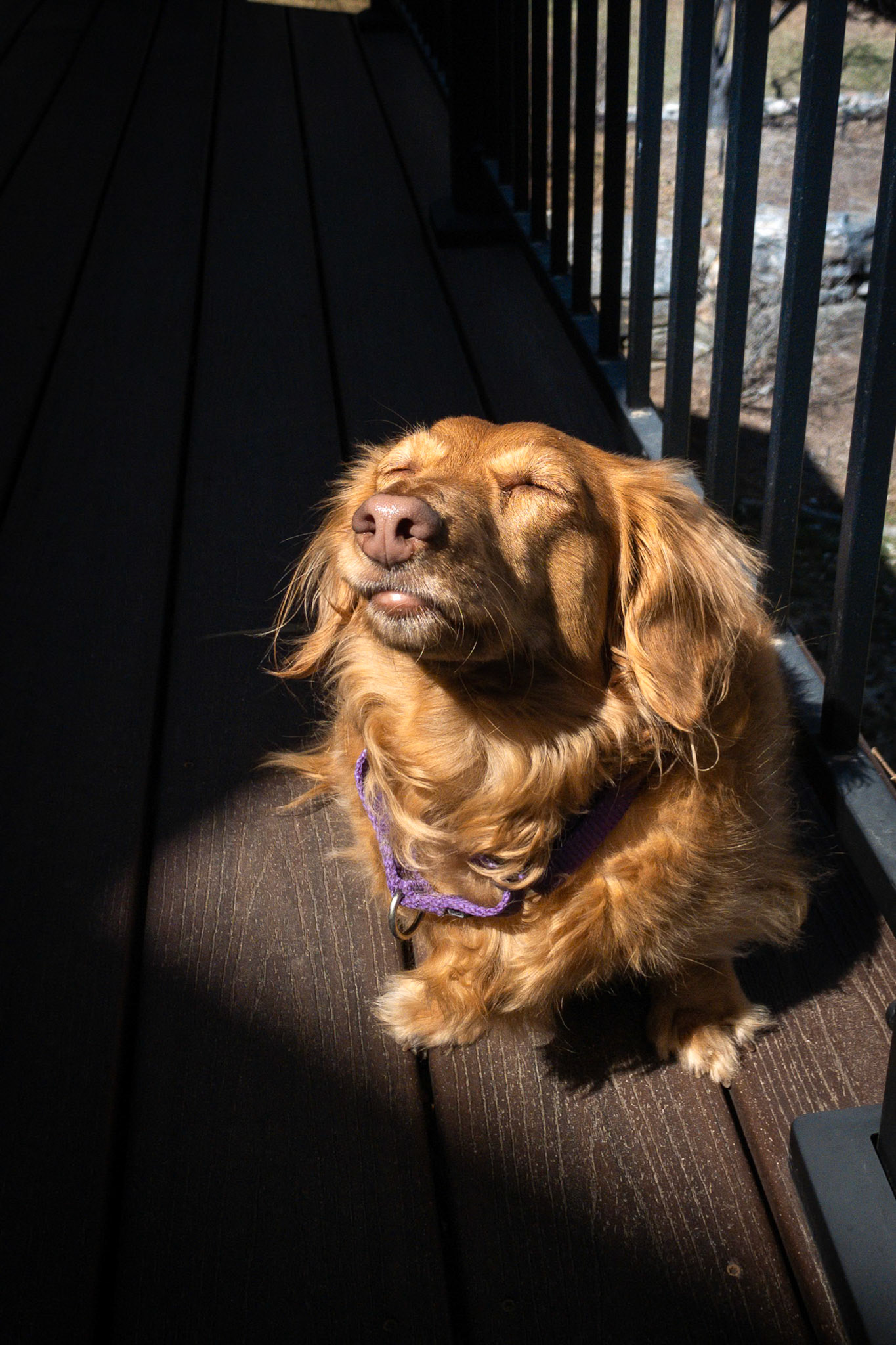 Claiming the one sunny spot for herself