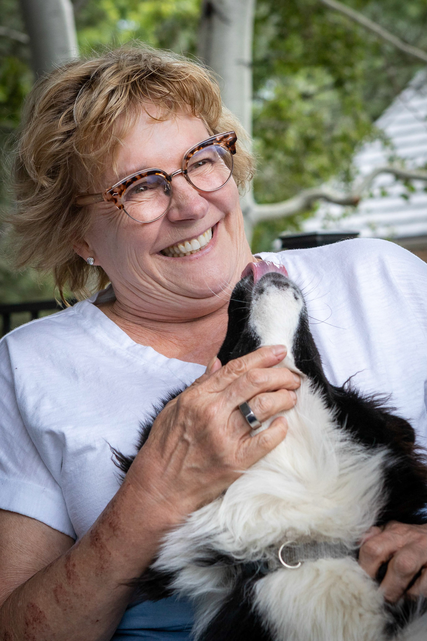 Plenty of pets to go aroundd.