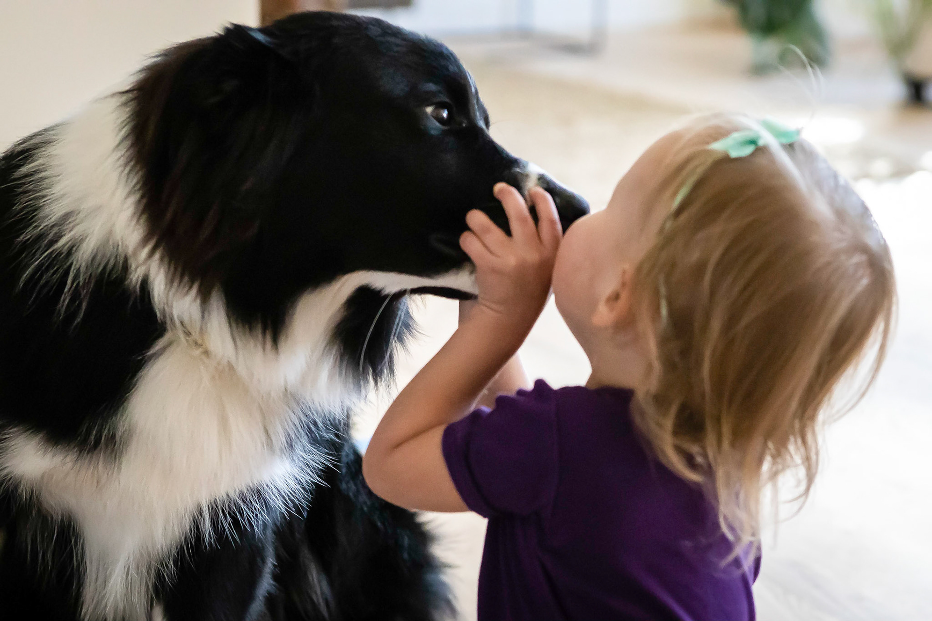 Sneaking a little smooch from a big puppy.