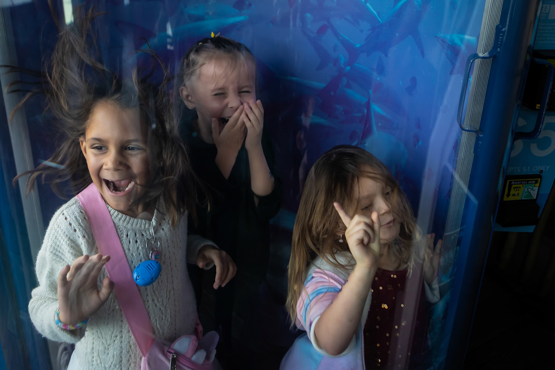 Experiencing the hurricane tunnel at Downtown Aquarium