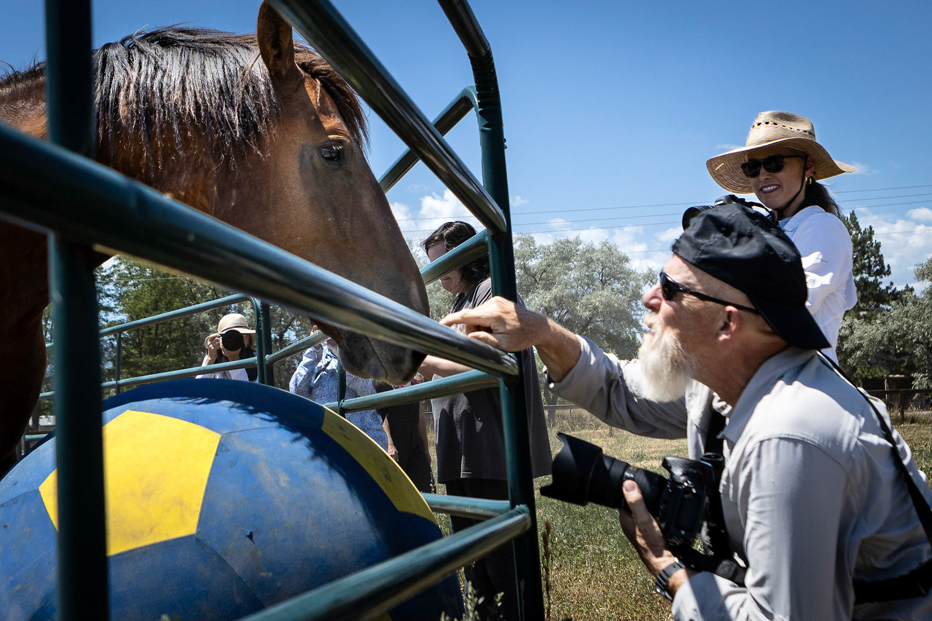 A visit to Colorado Horse Rescue near Longmont