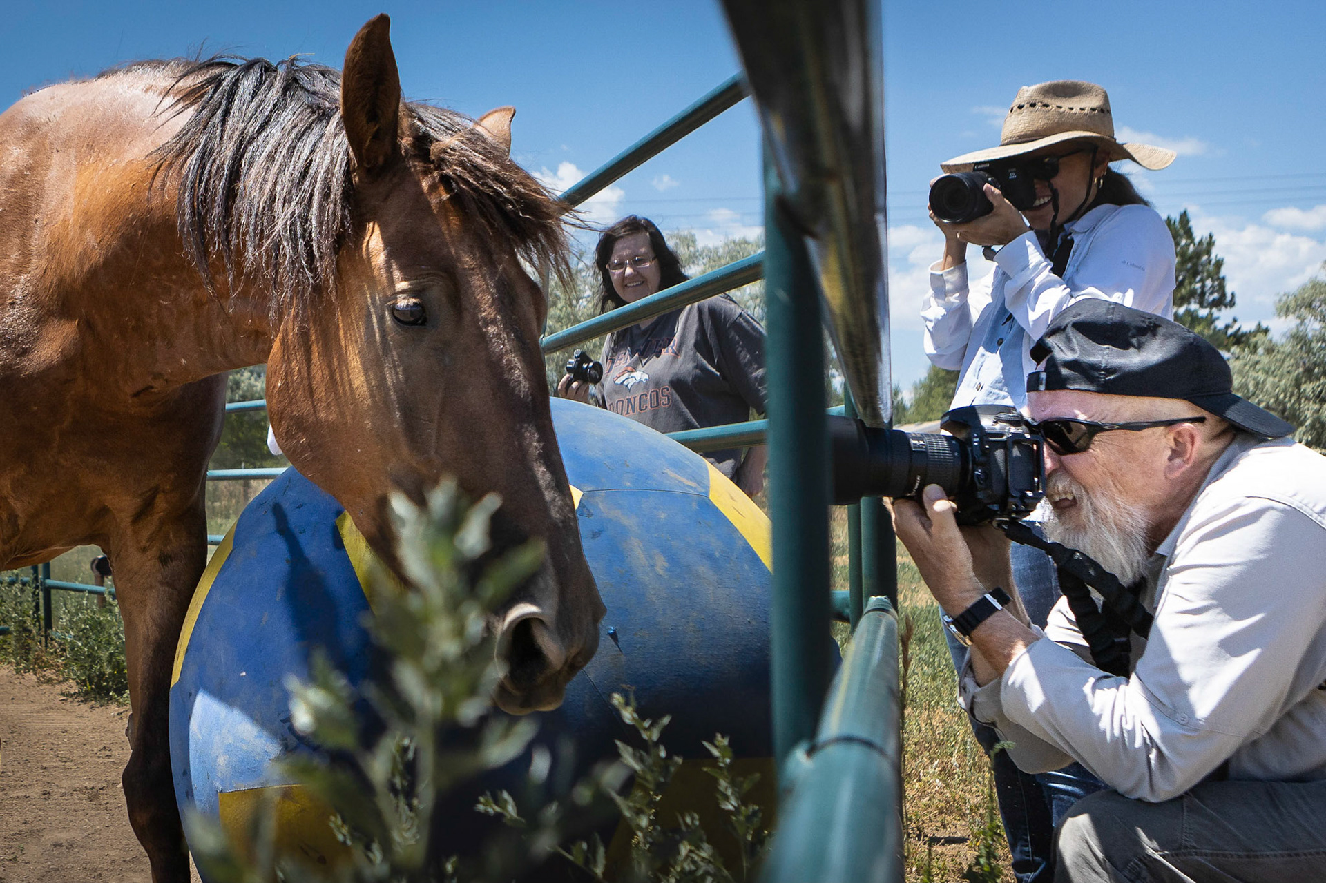 A visit to Colorado Horse Rescue near Longmont