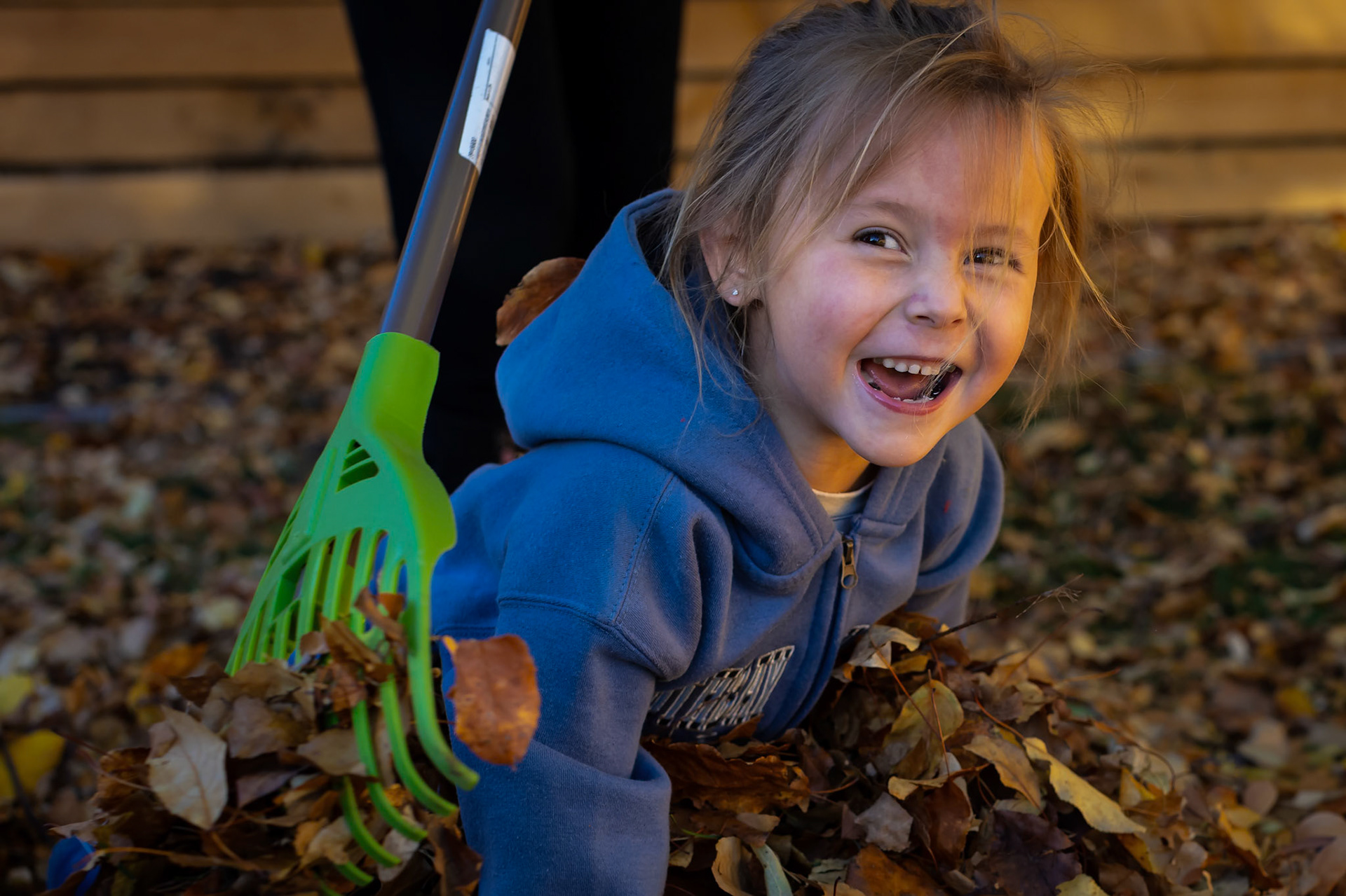 Fall cleanup with Mimi