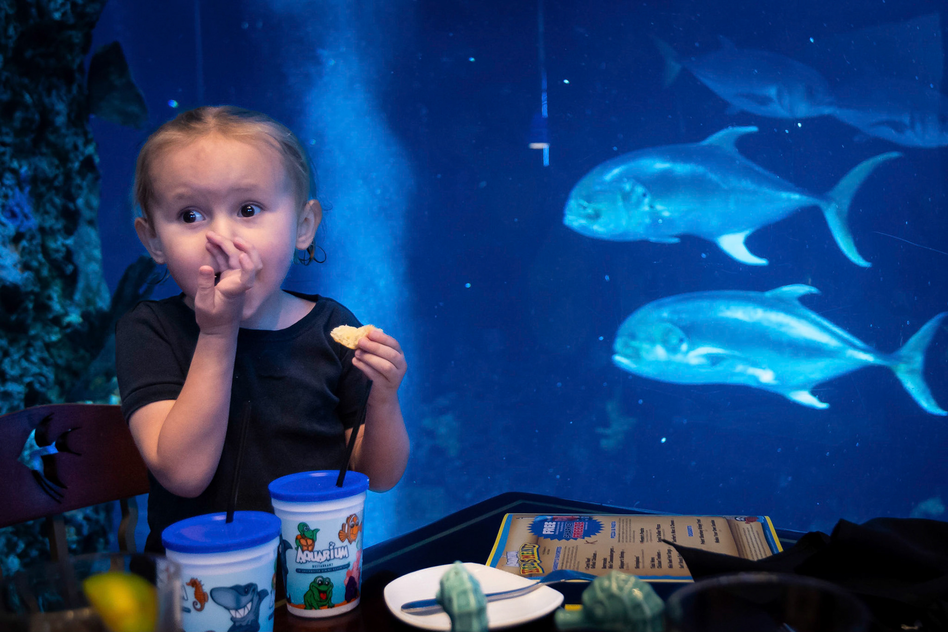 Lunch time at the Downtown Aquarium