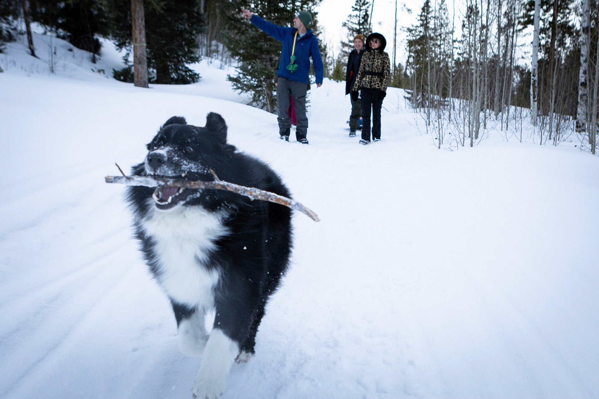 An afternoon on the sleddding trail