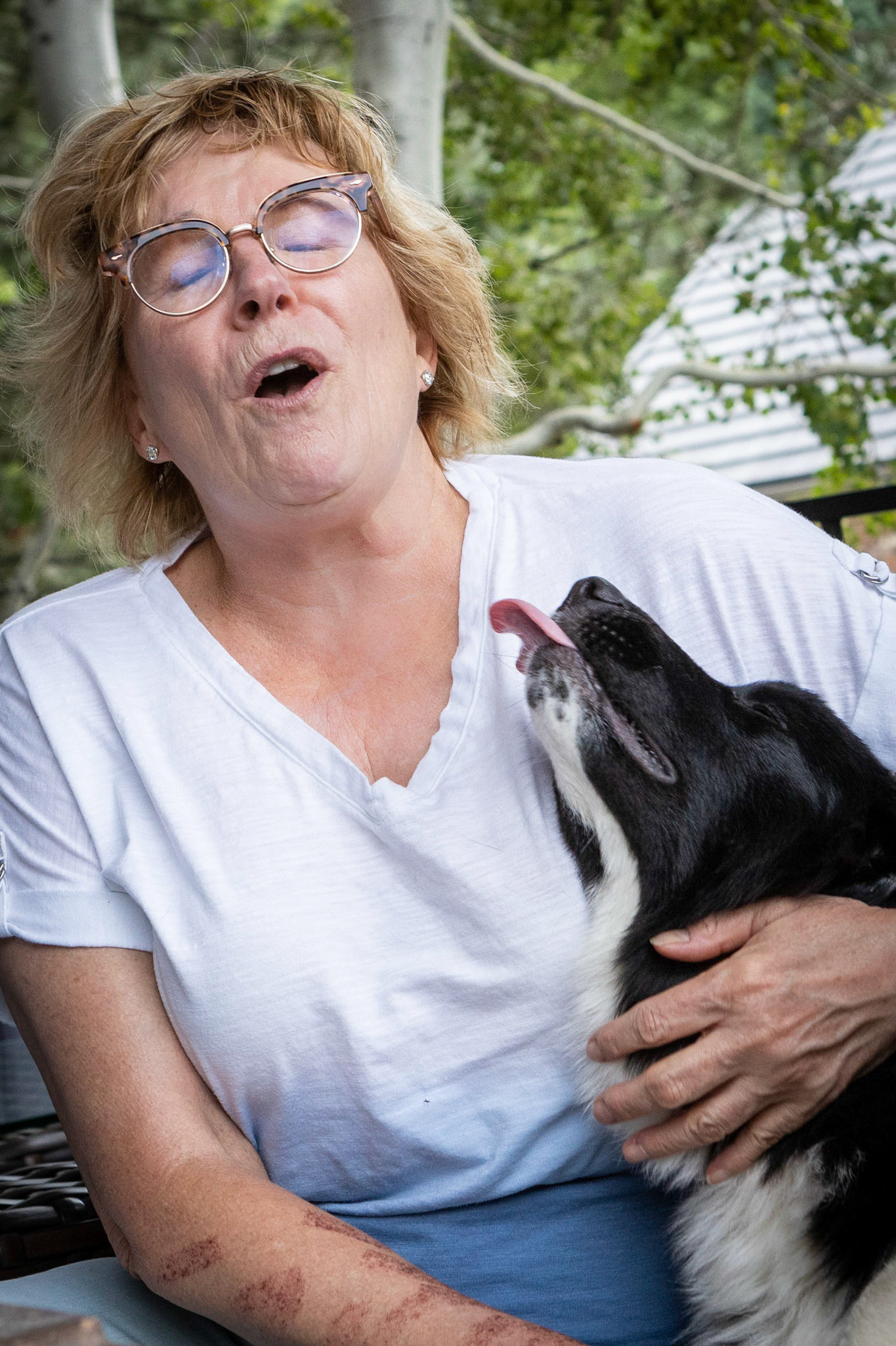 Plenty of pets to go aroundd.