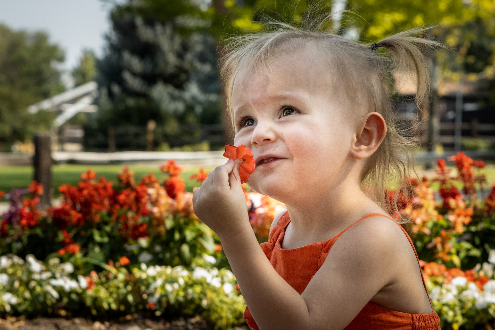 Enjoying the flowers at Hudson Gardens with Mom.