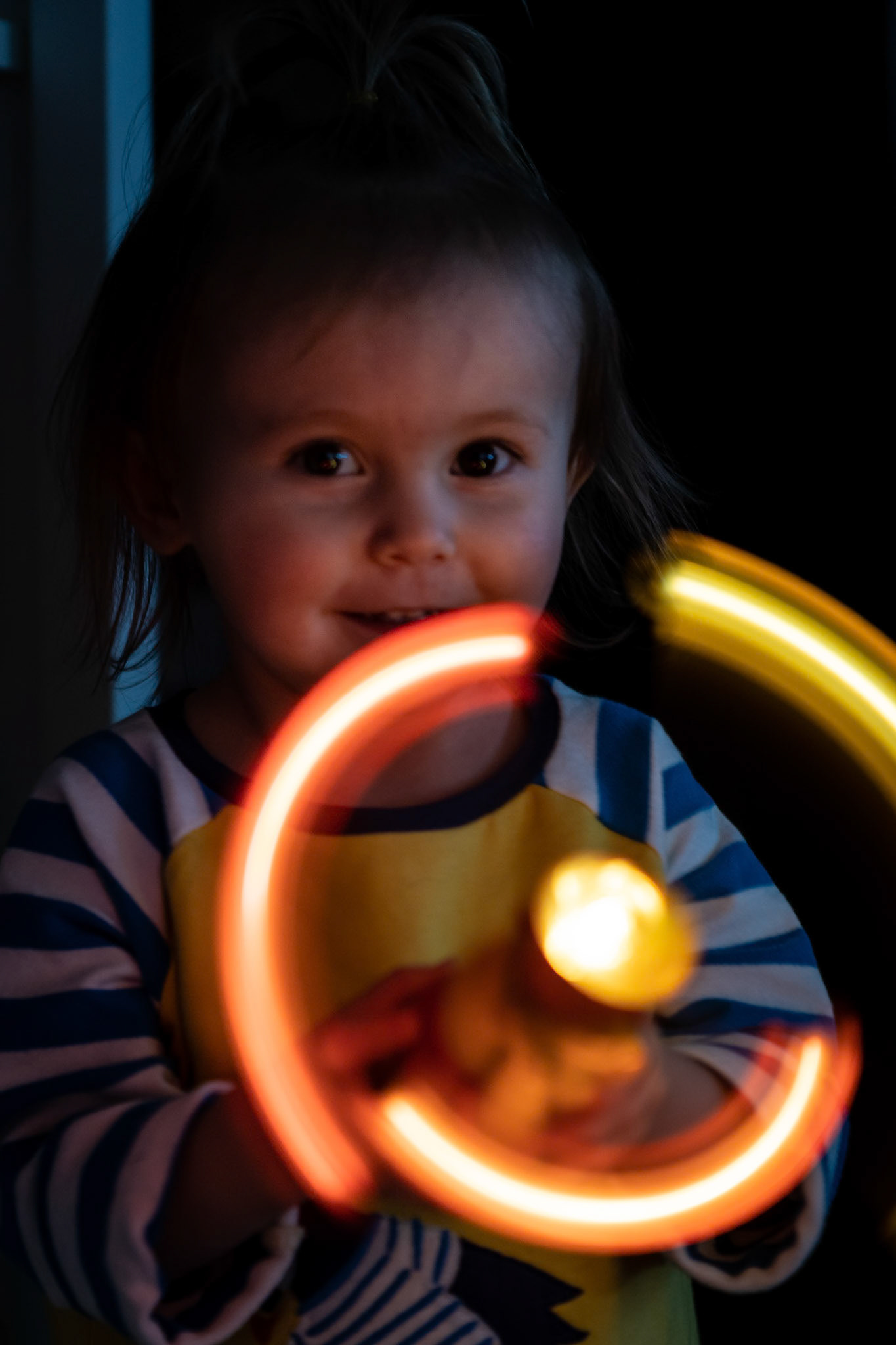Demonstrating honey bee lights