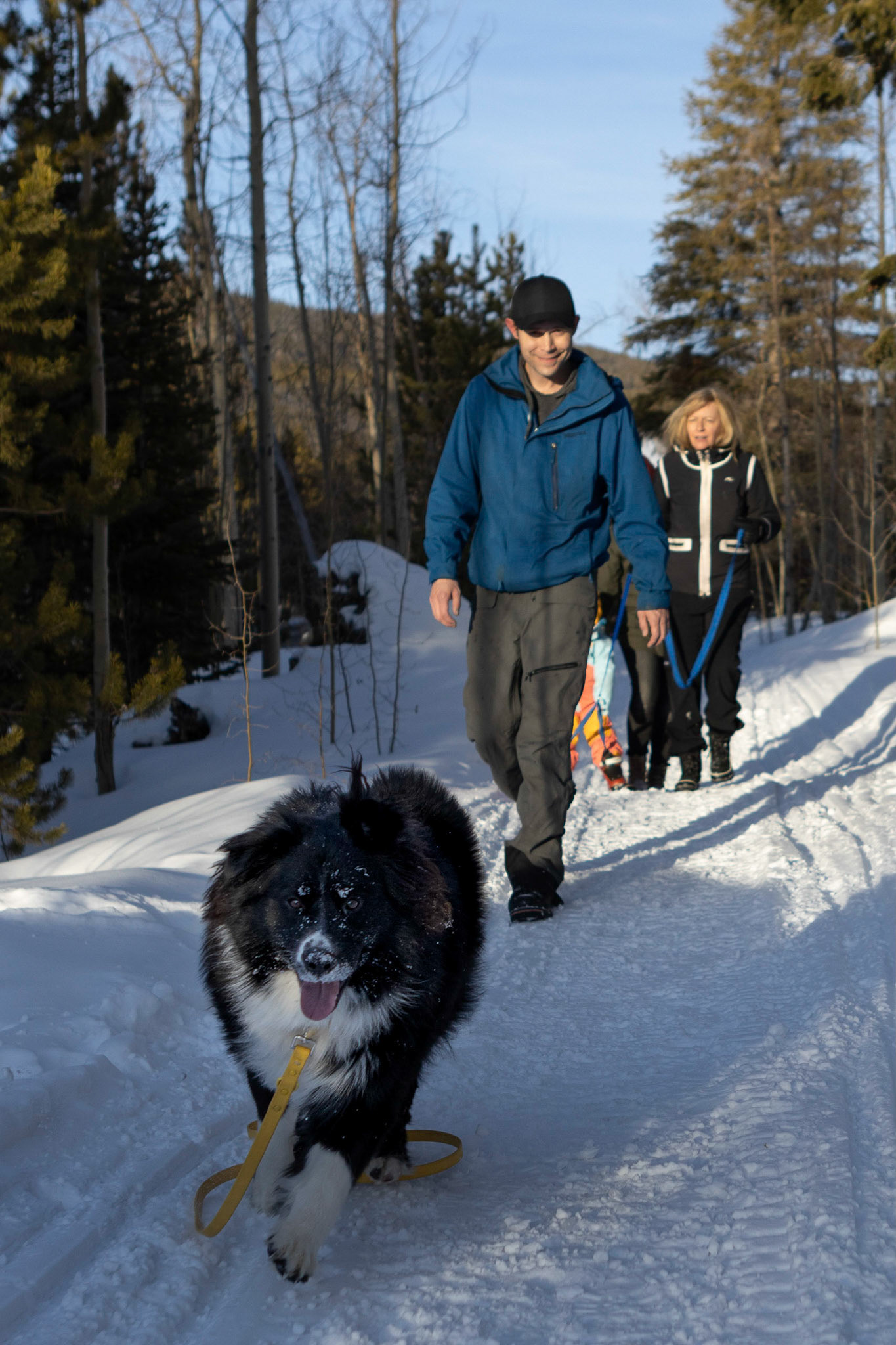An evening walk in the mountains