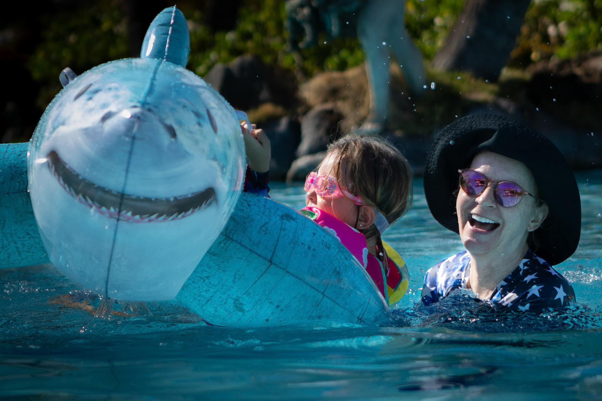 Shark taming with Mimi in the Grand Wailea swimming pool