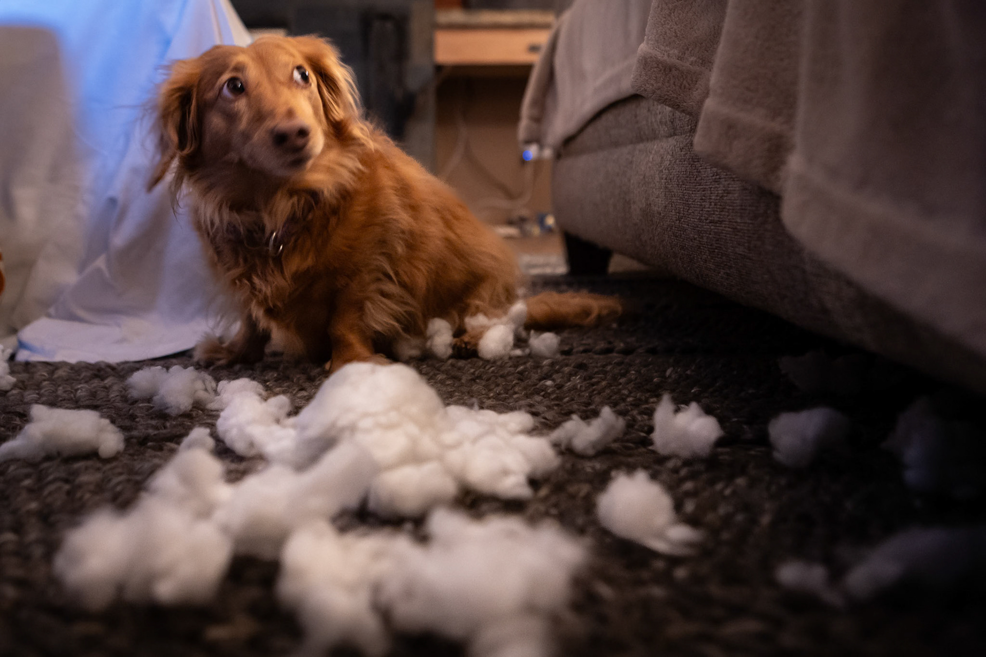 Using a holiday toy to its full potential