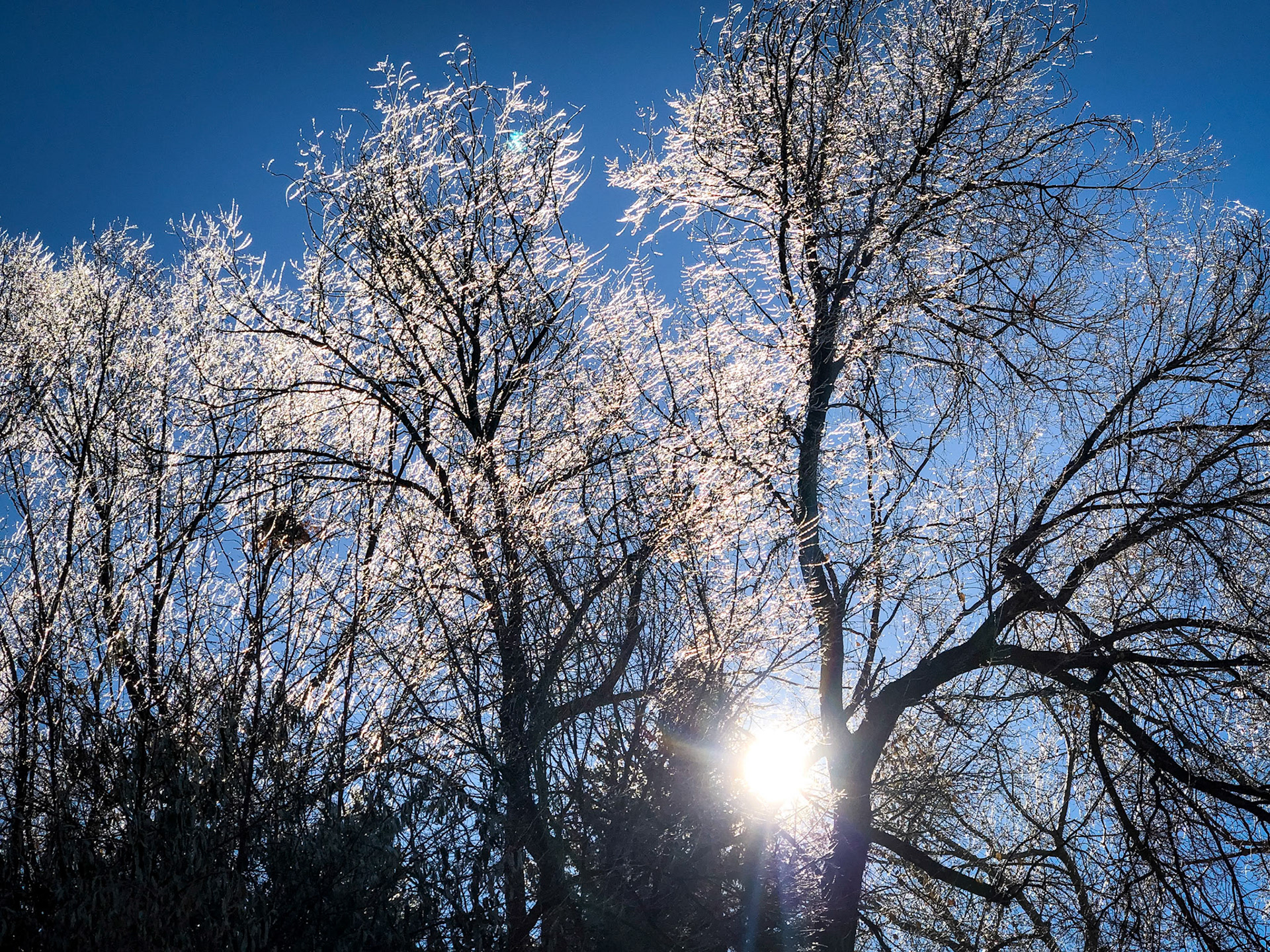 A cool daybreak after a cold, drizzly Colorado night