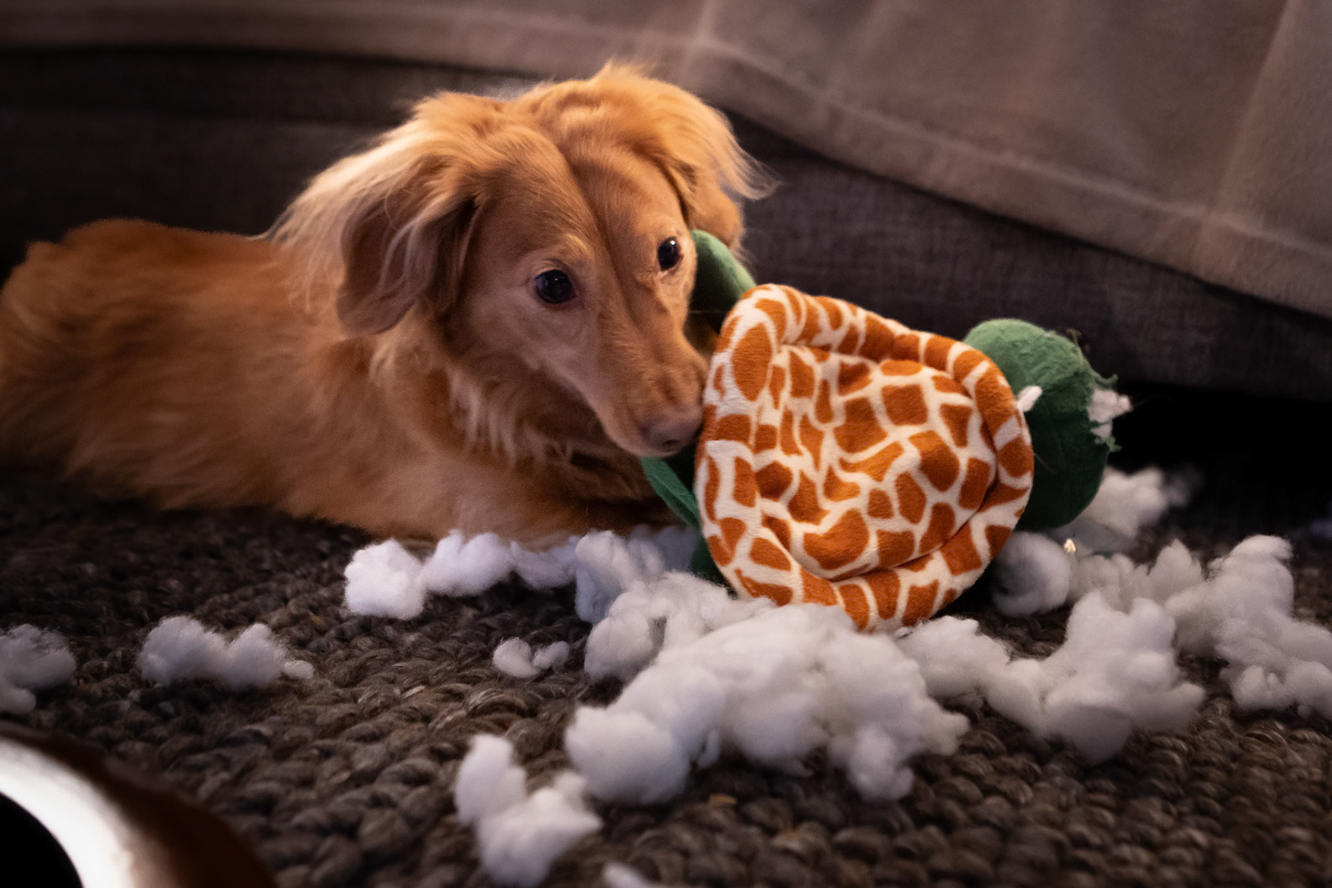 Using a holiday toy to its full potential