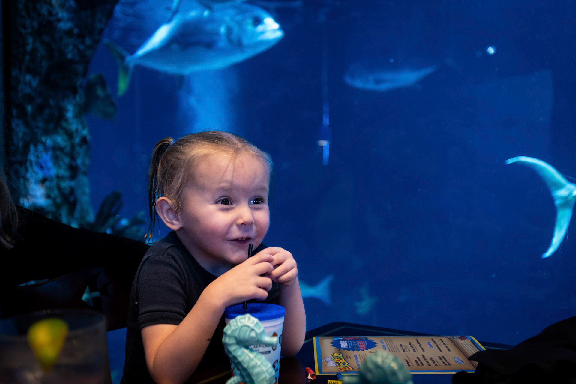 Lunch with the fish at the Downtown Aquarium