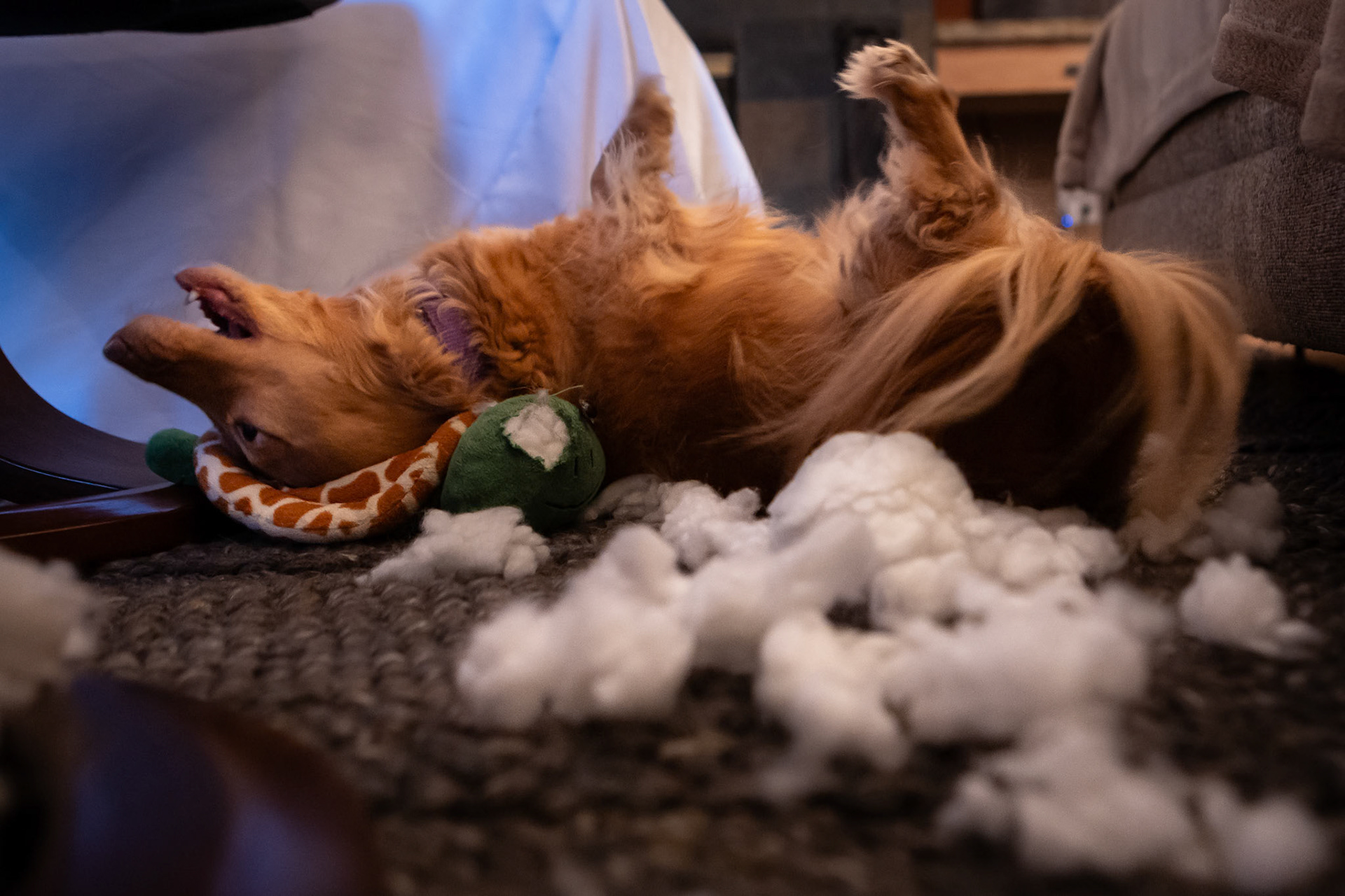 Using a holiday toy to its full potential