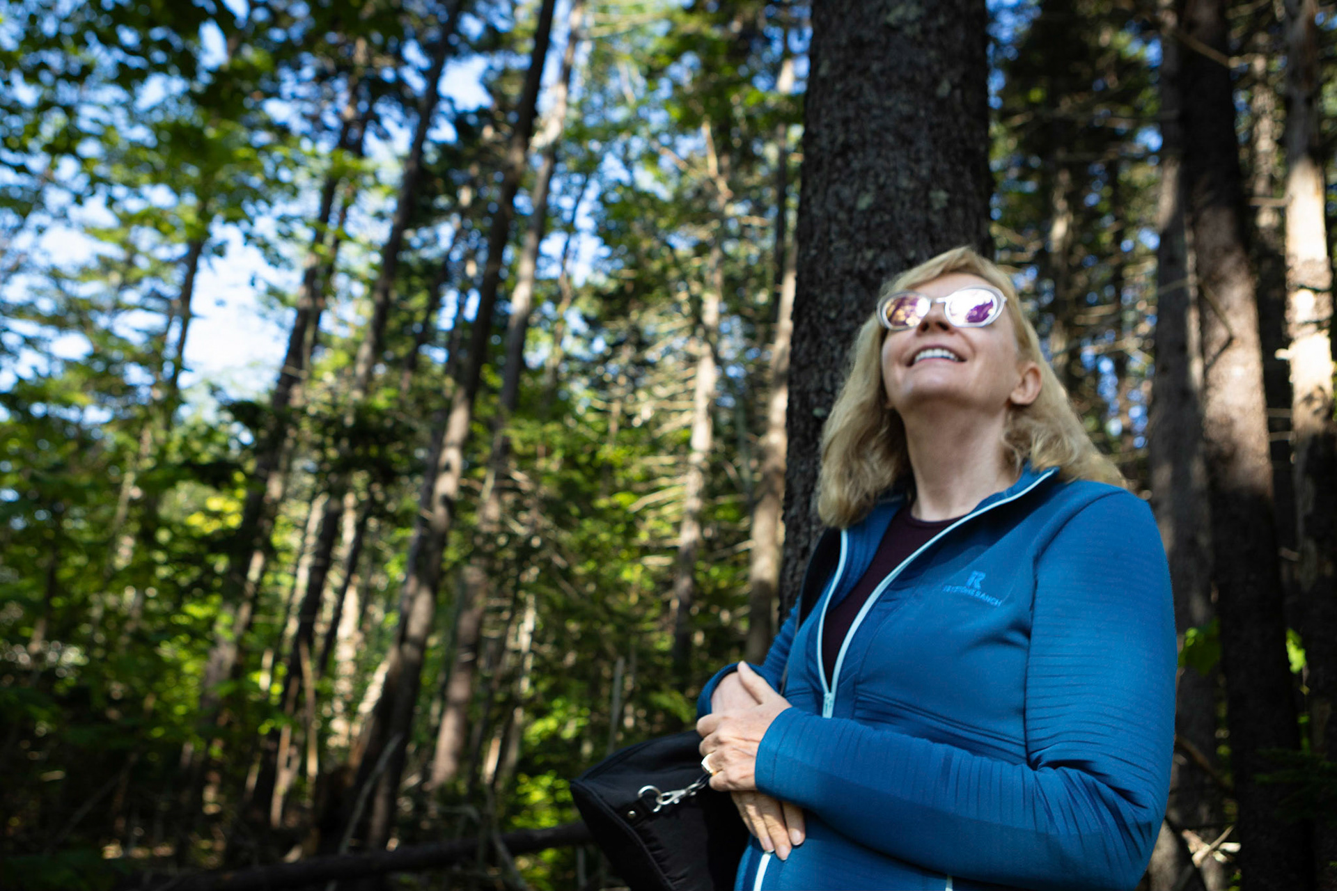 Experiencing the lush Maine forest