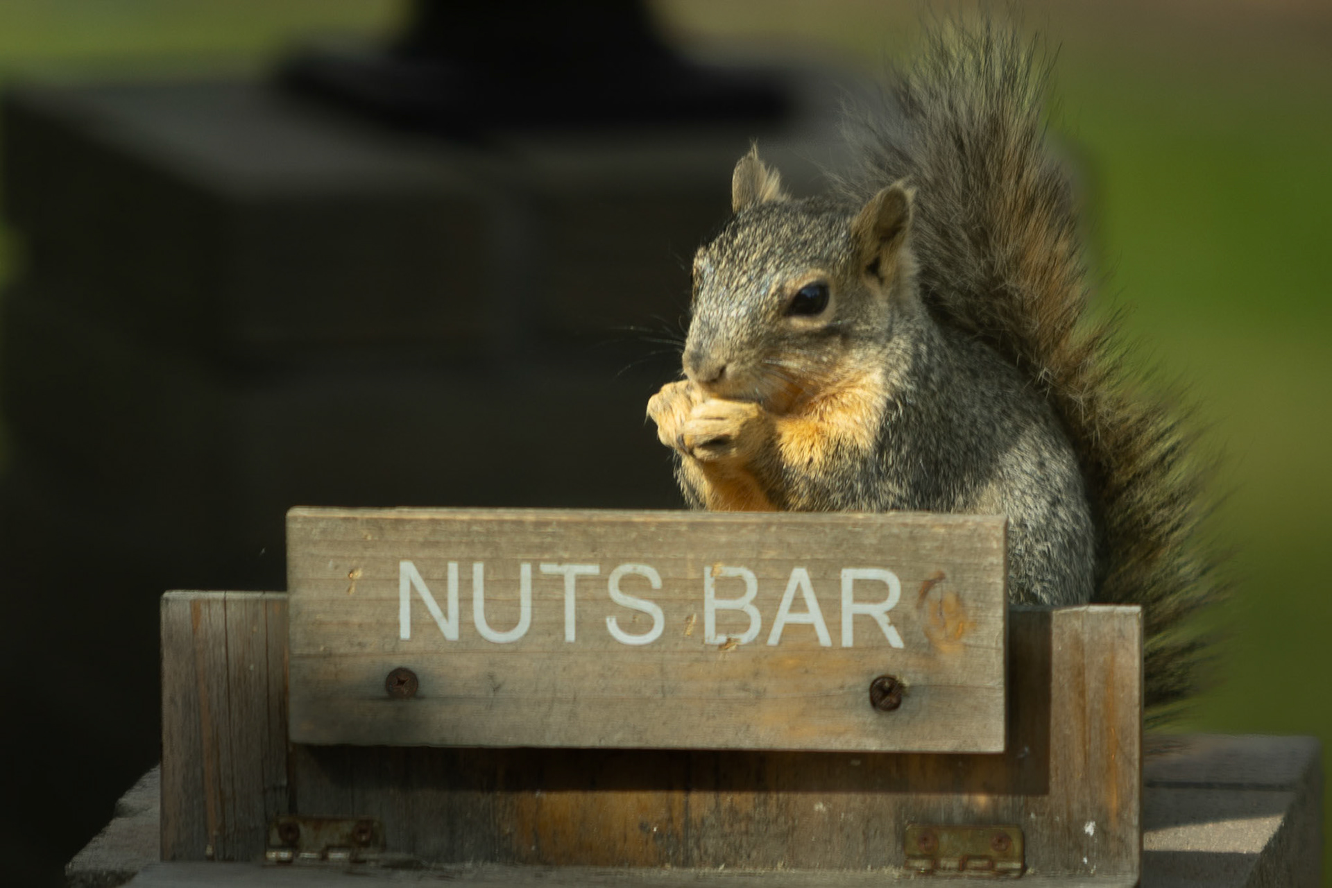 Bellying up to the neighborhood bar