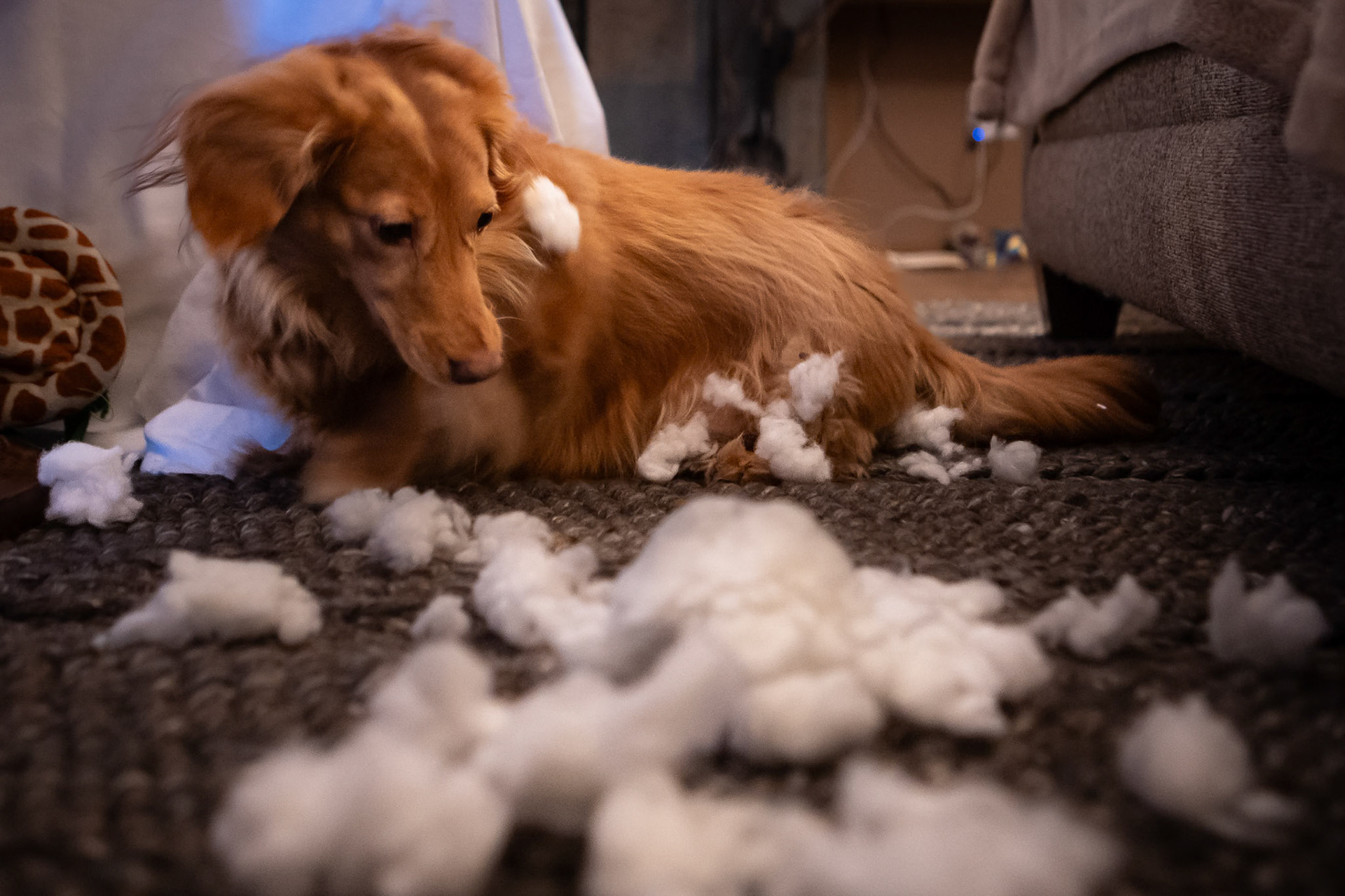 Using a holiday toy to its full potential