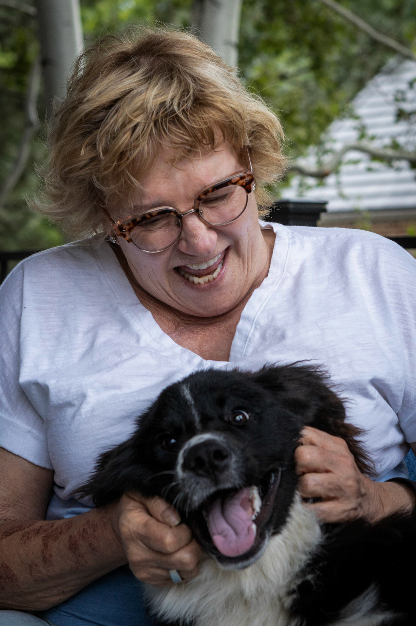 Plenty of pets to go aroundd.