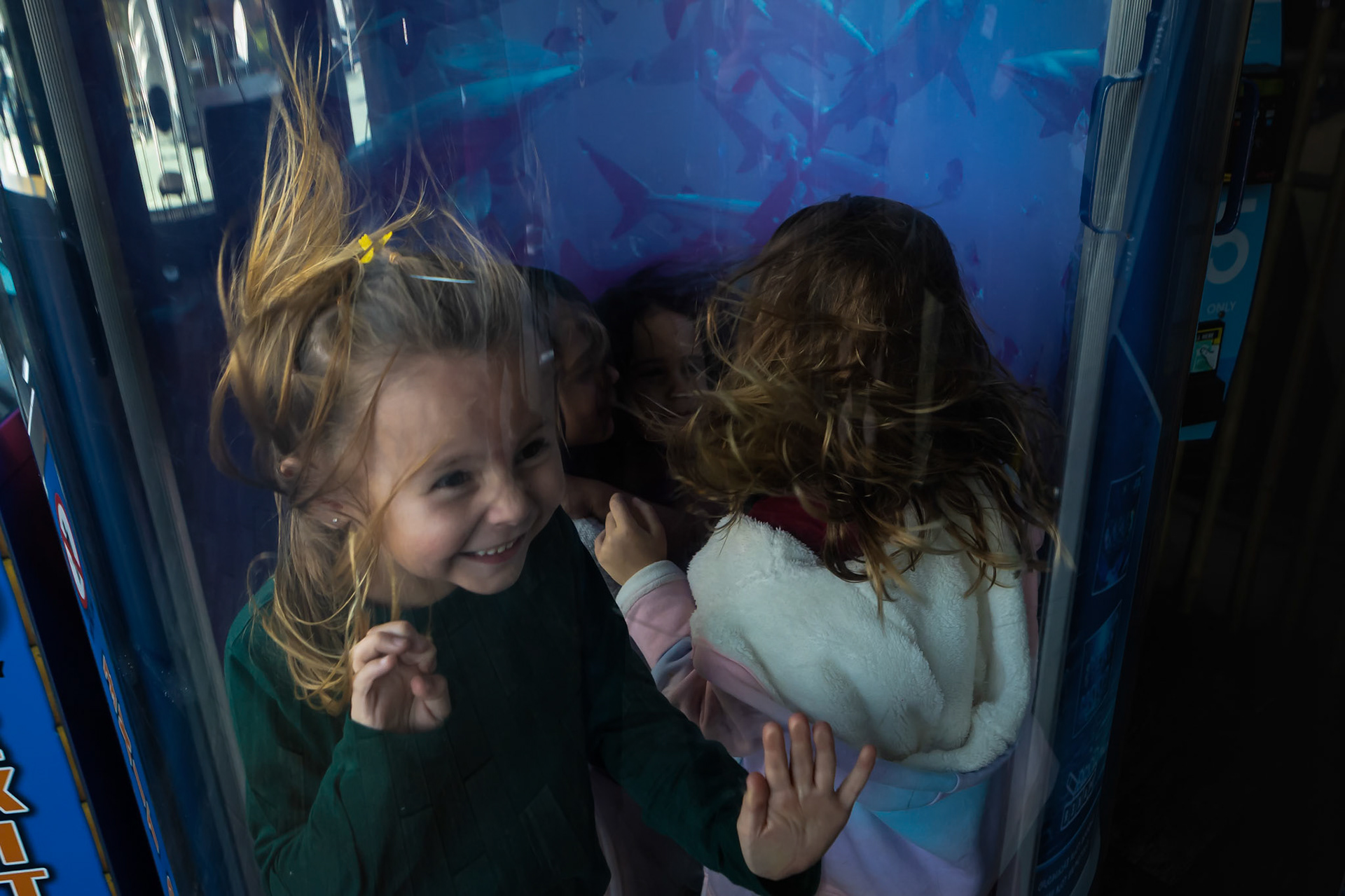 Experiencing the hurricane tunnel at Downtown Aquarium