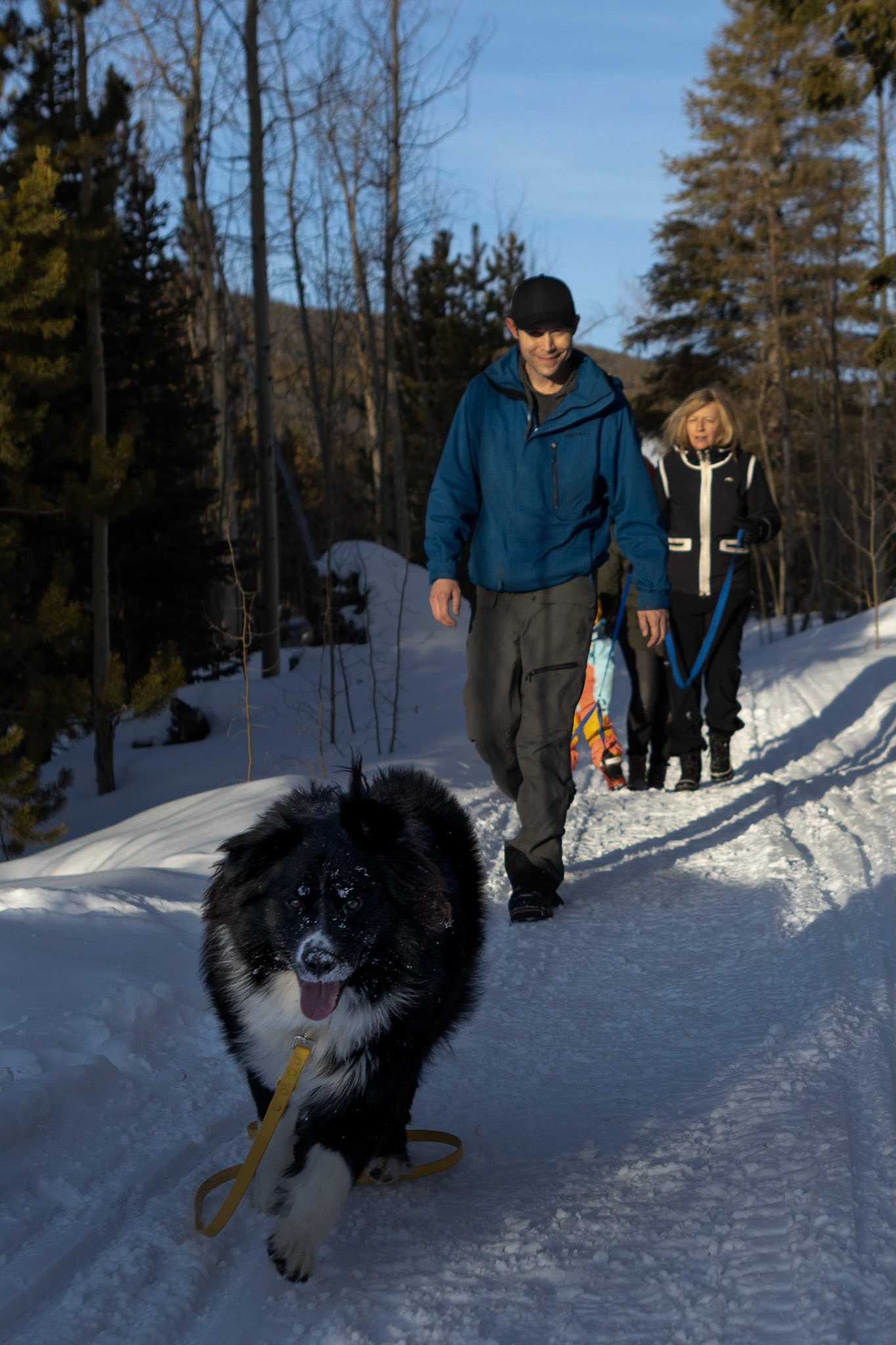 An evening walk in the mountains