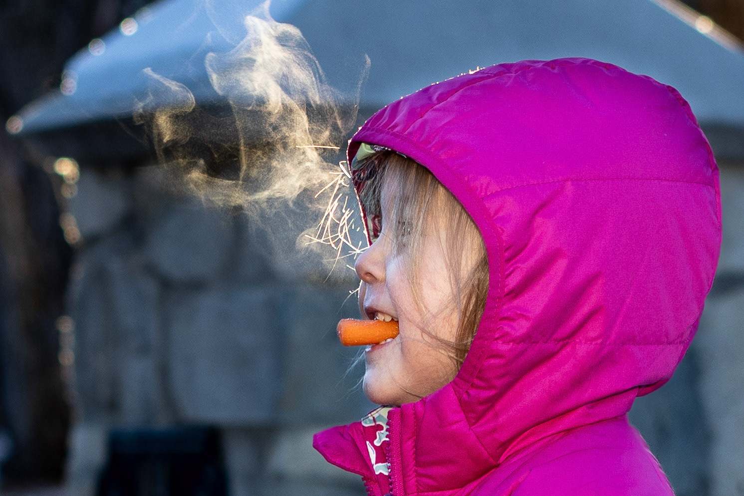 Snacking on carrots while enjoying a brisk morning walk