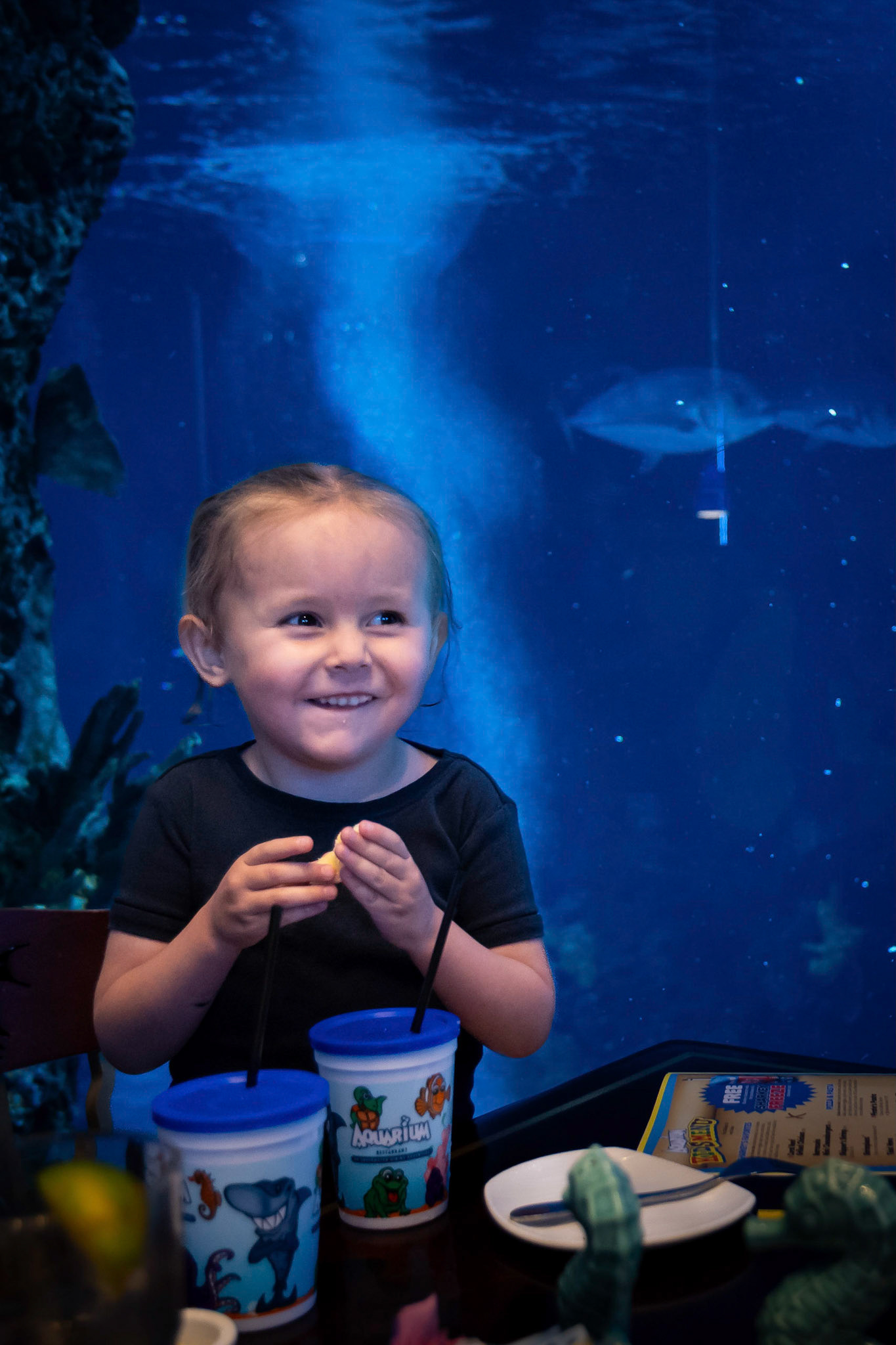 Lunch time at the Downtown Aquarium