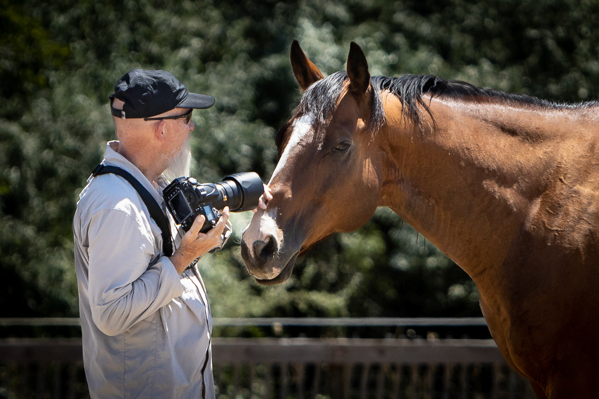 A visit to Colorado Horse Rescue near Longmont