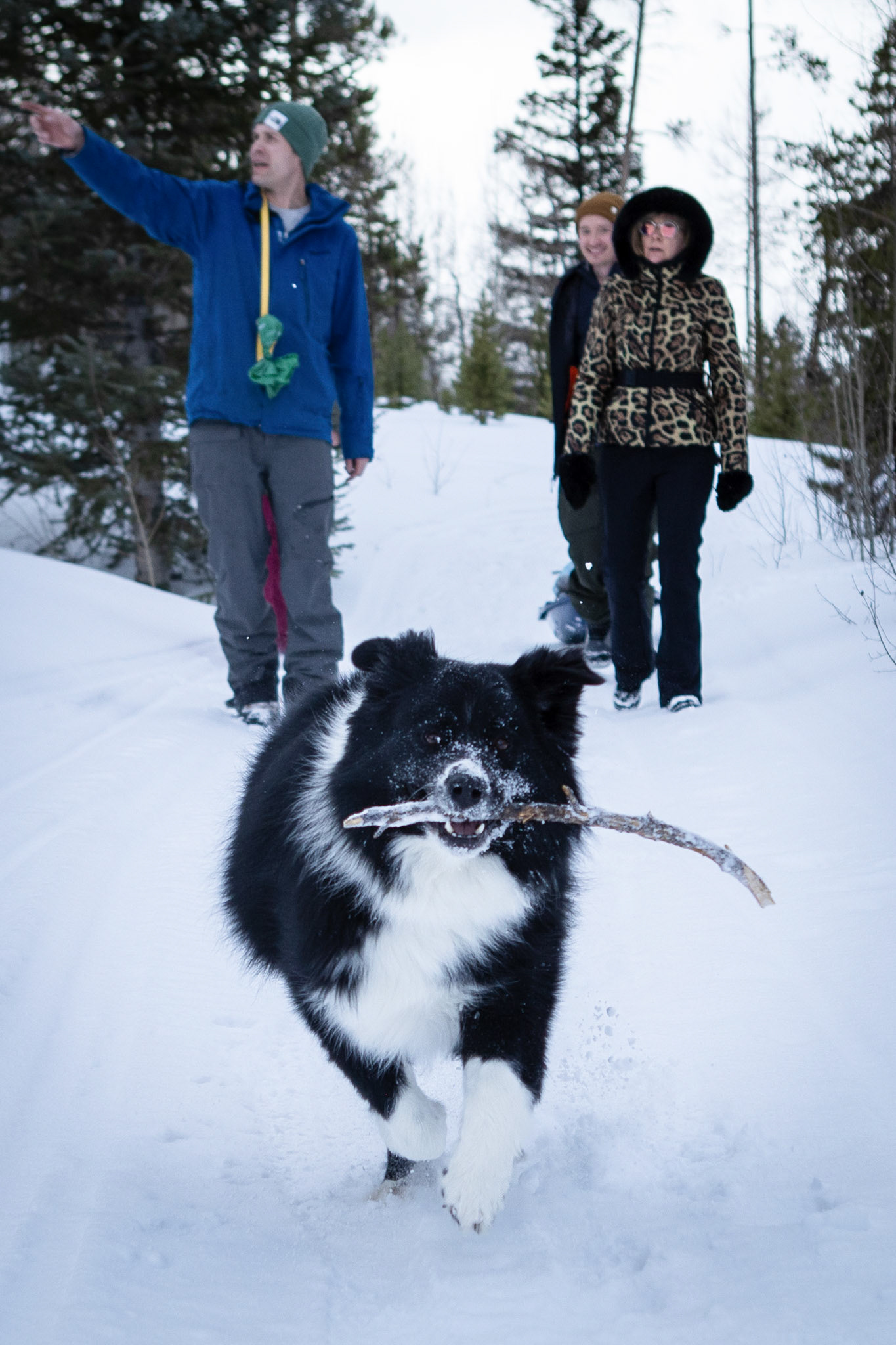 An afternoon on the sleddding trail