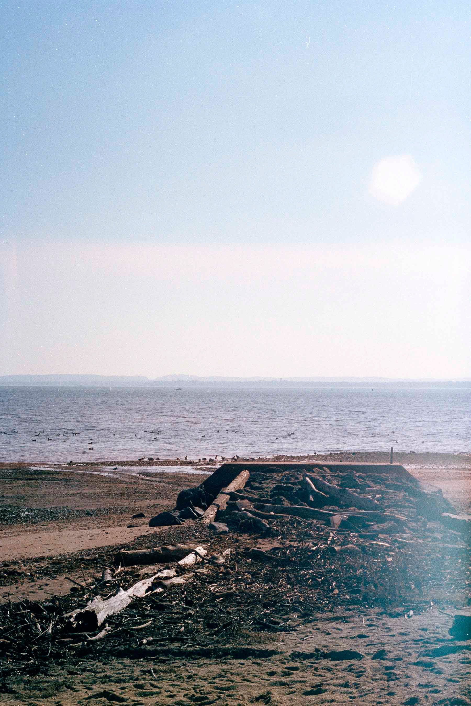 Untitled_12