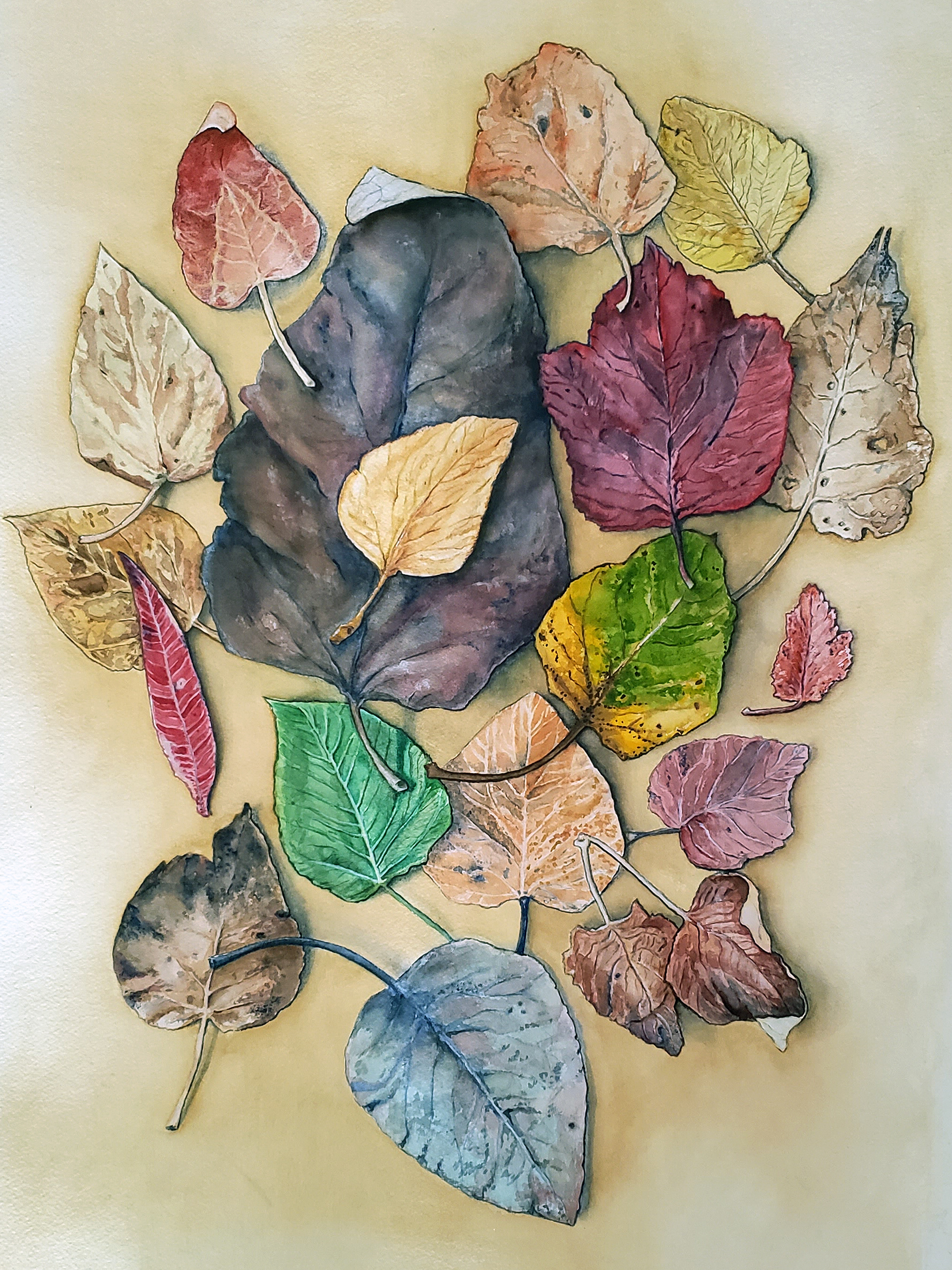 Alaska Leaves, 2024. Watercolor, 30 x 22 inches.